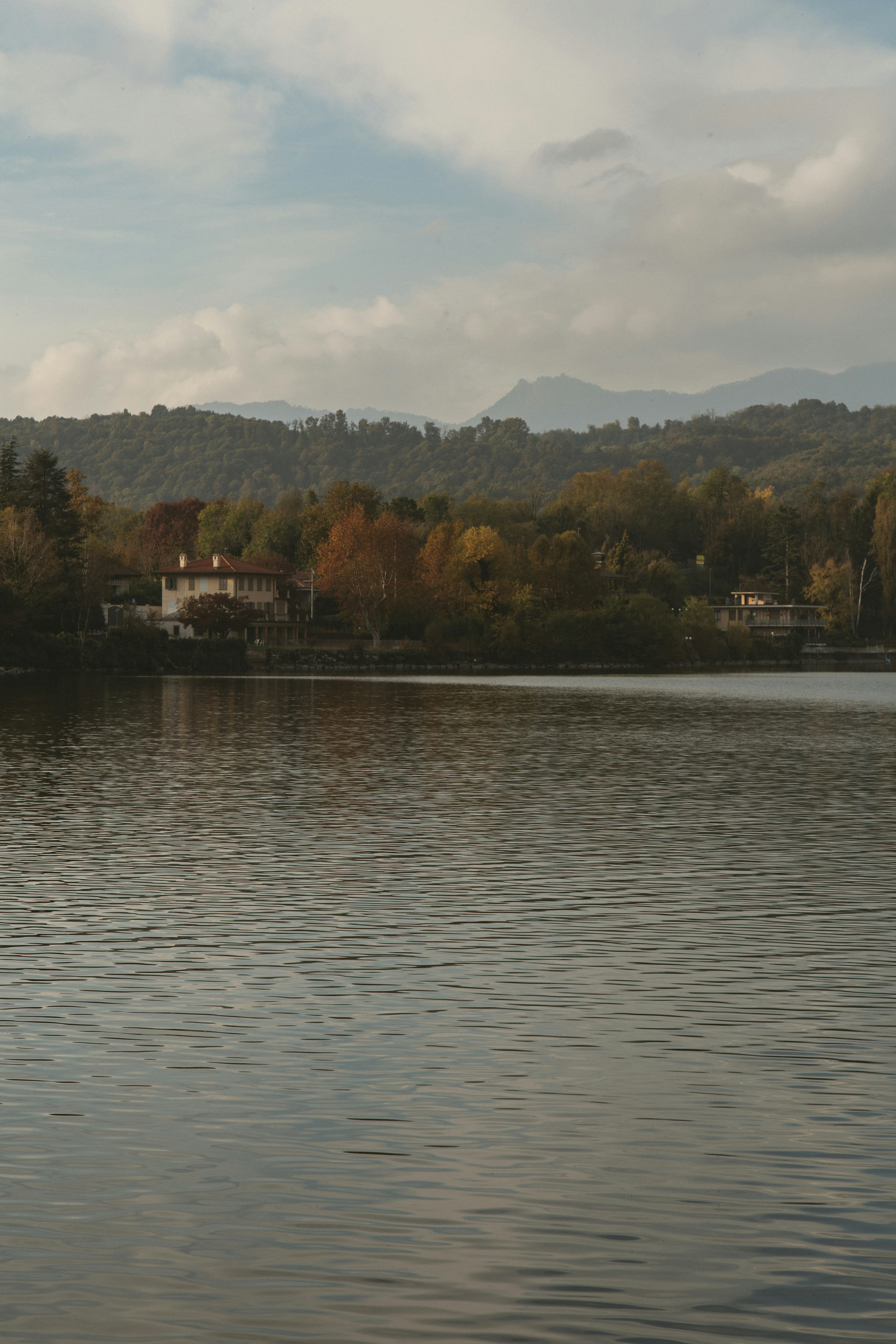Calm lake with trees and houses on shore.
