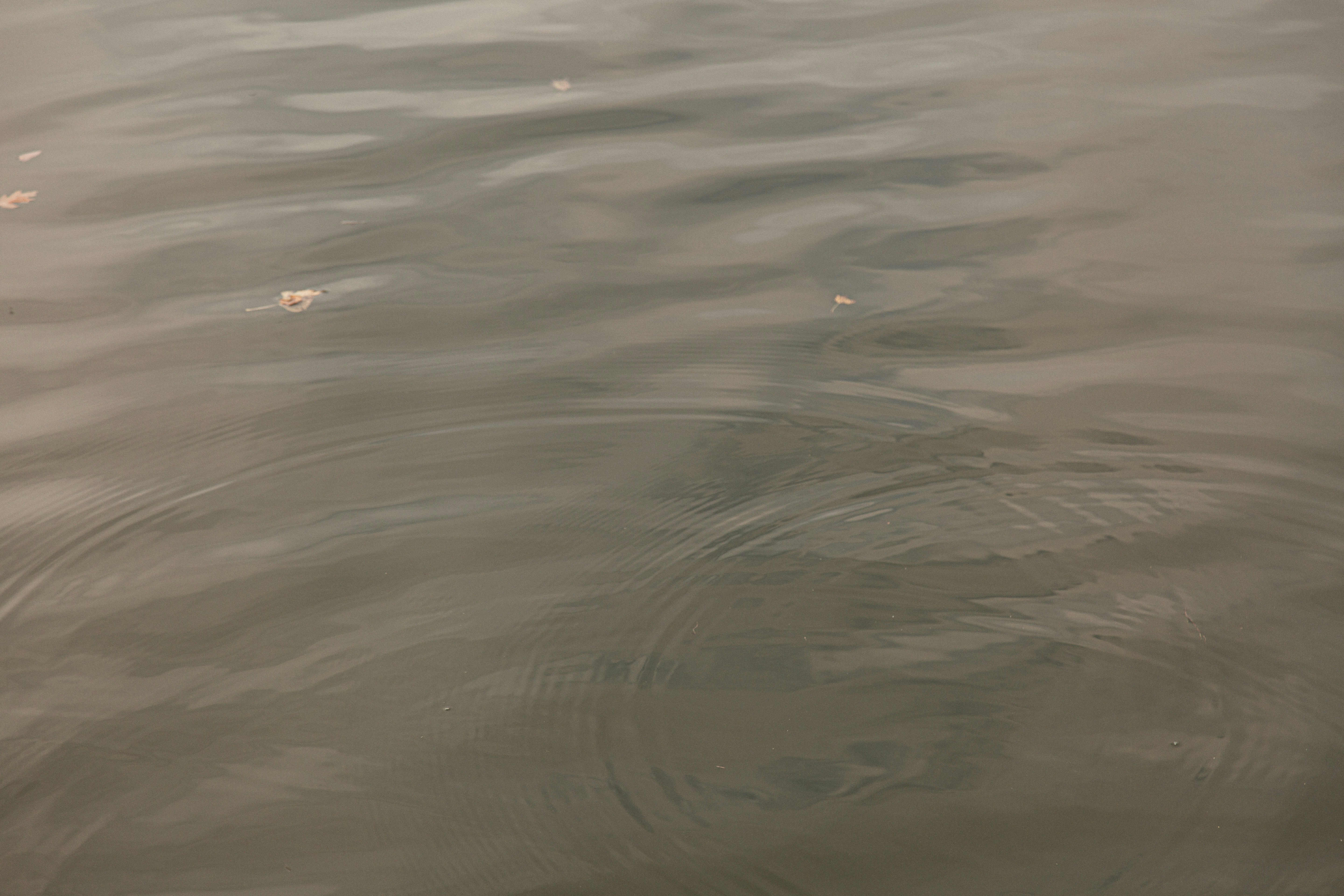 Photo by i_am_simoesse