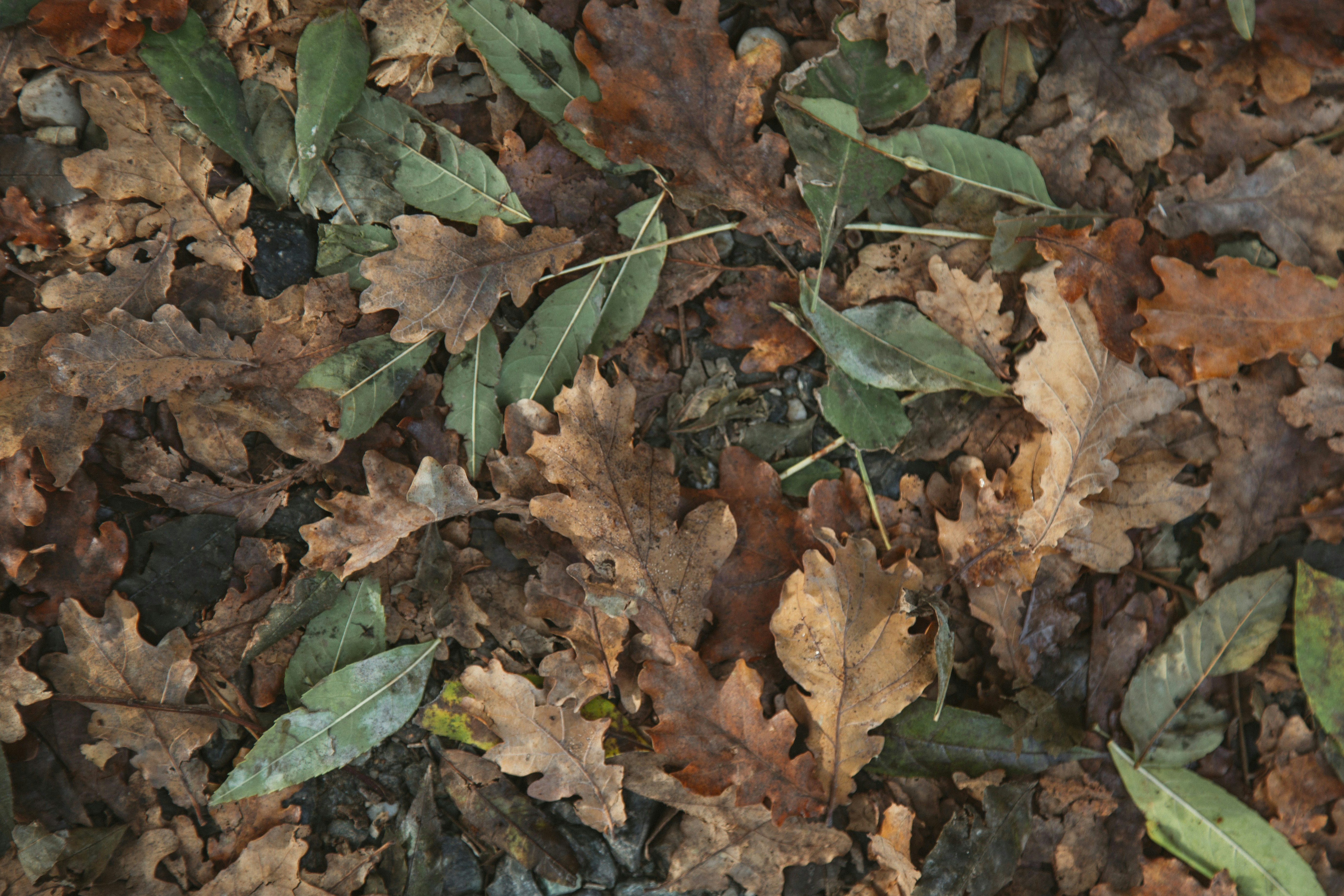 Photo by i_am_simoesse