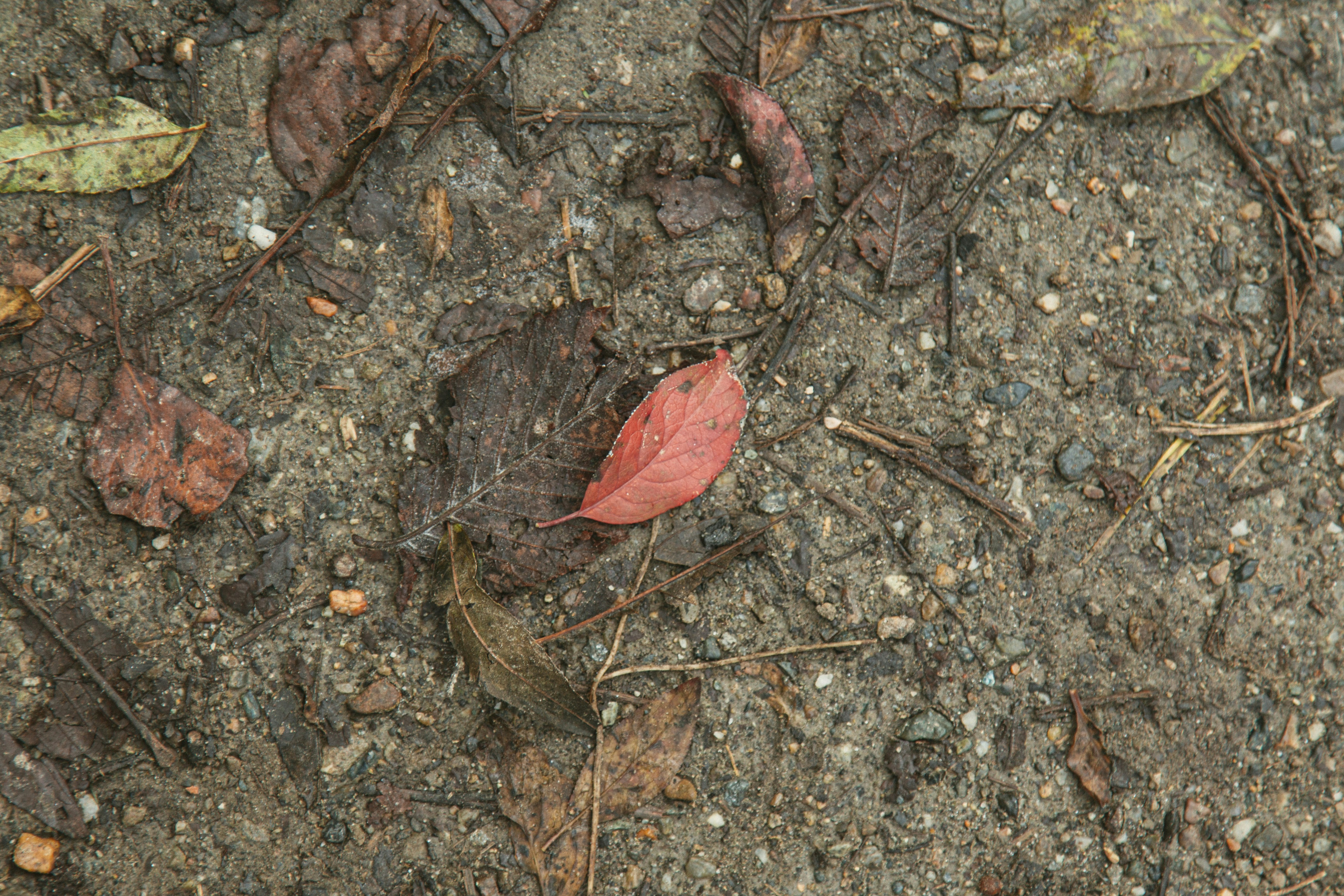 Photo by i_am_simoesse