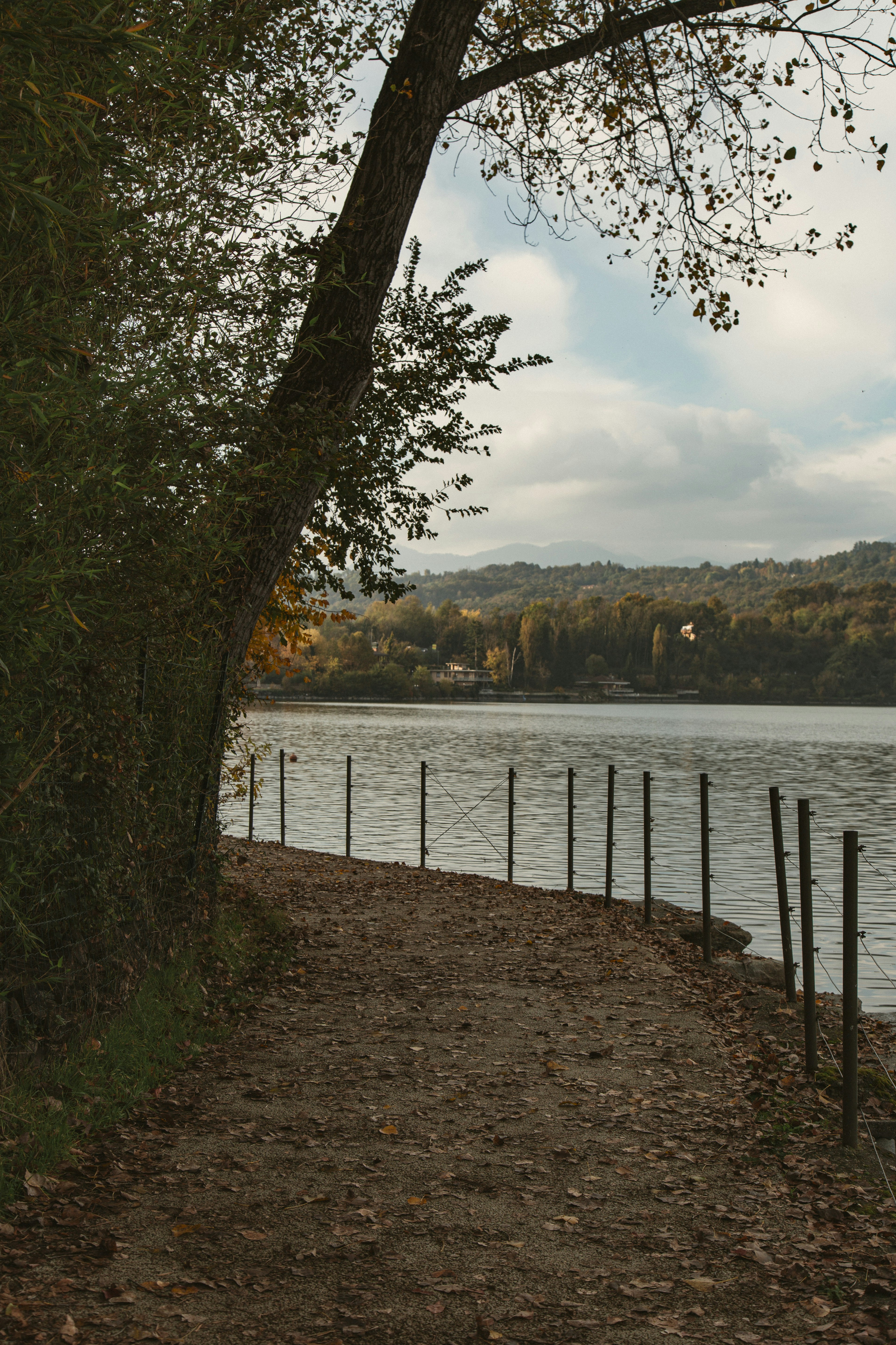 Autumn path along a lake with trees