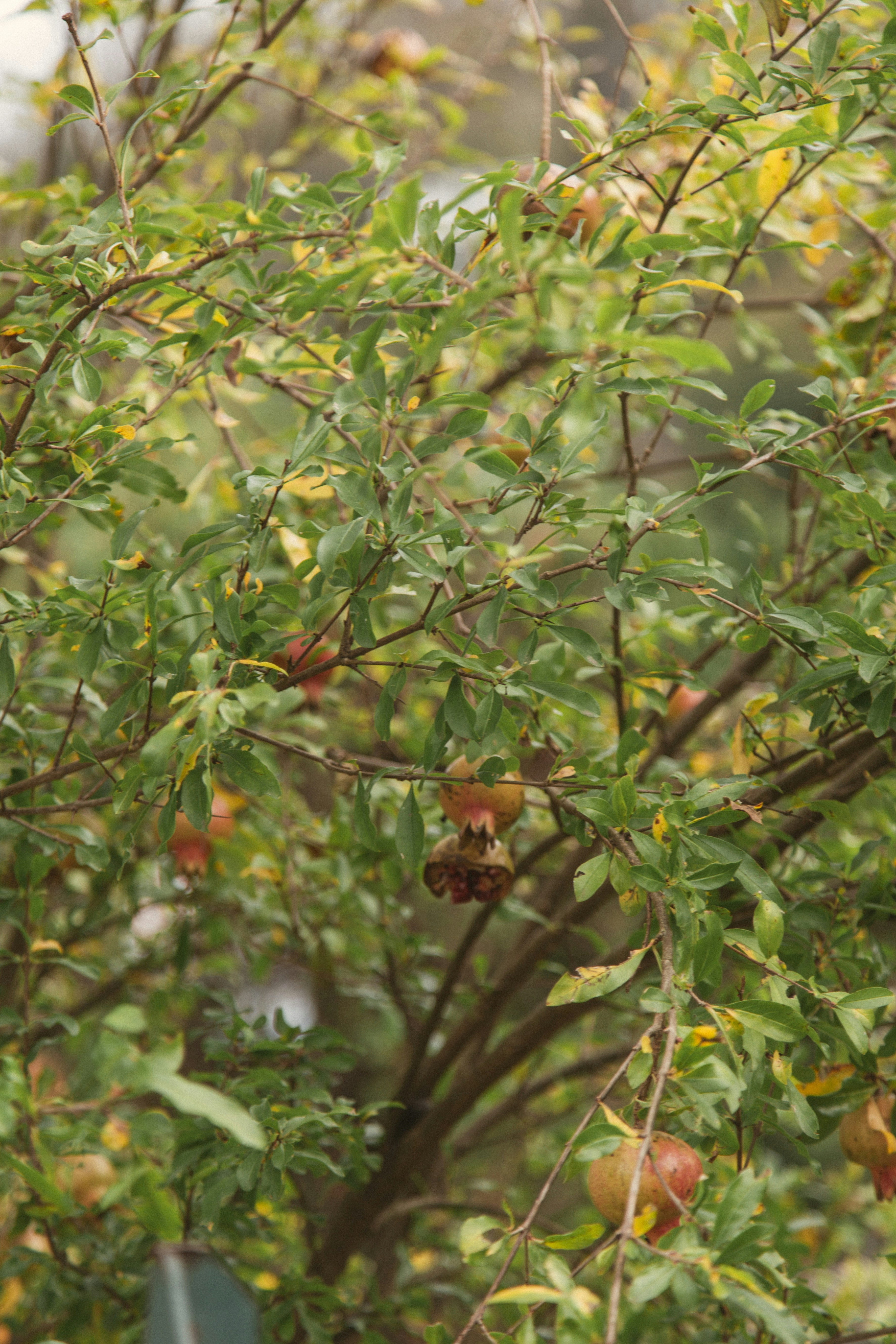 Photo by i_am_simoesse