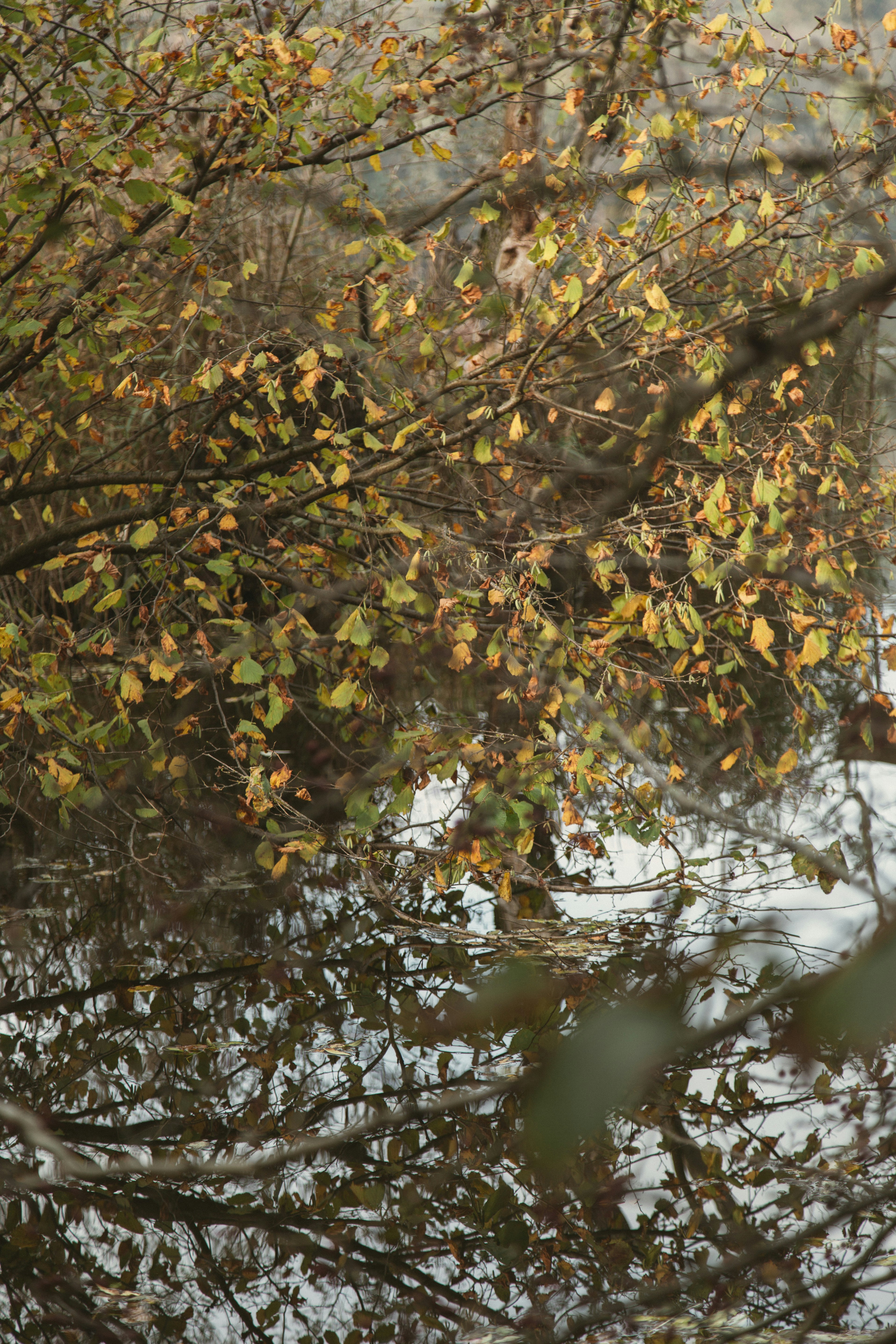 Photo by i_am_simoesse