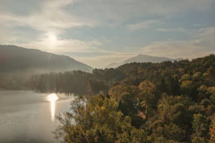 Scottish autumn forest and loch