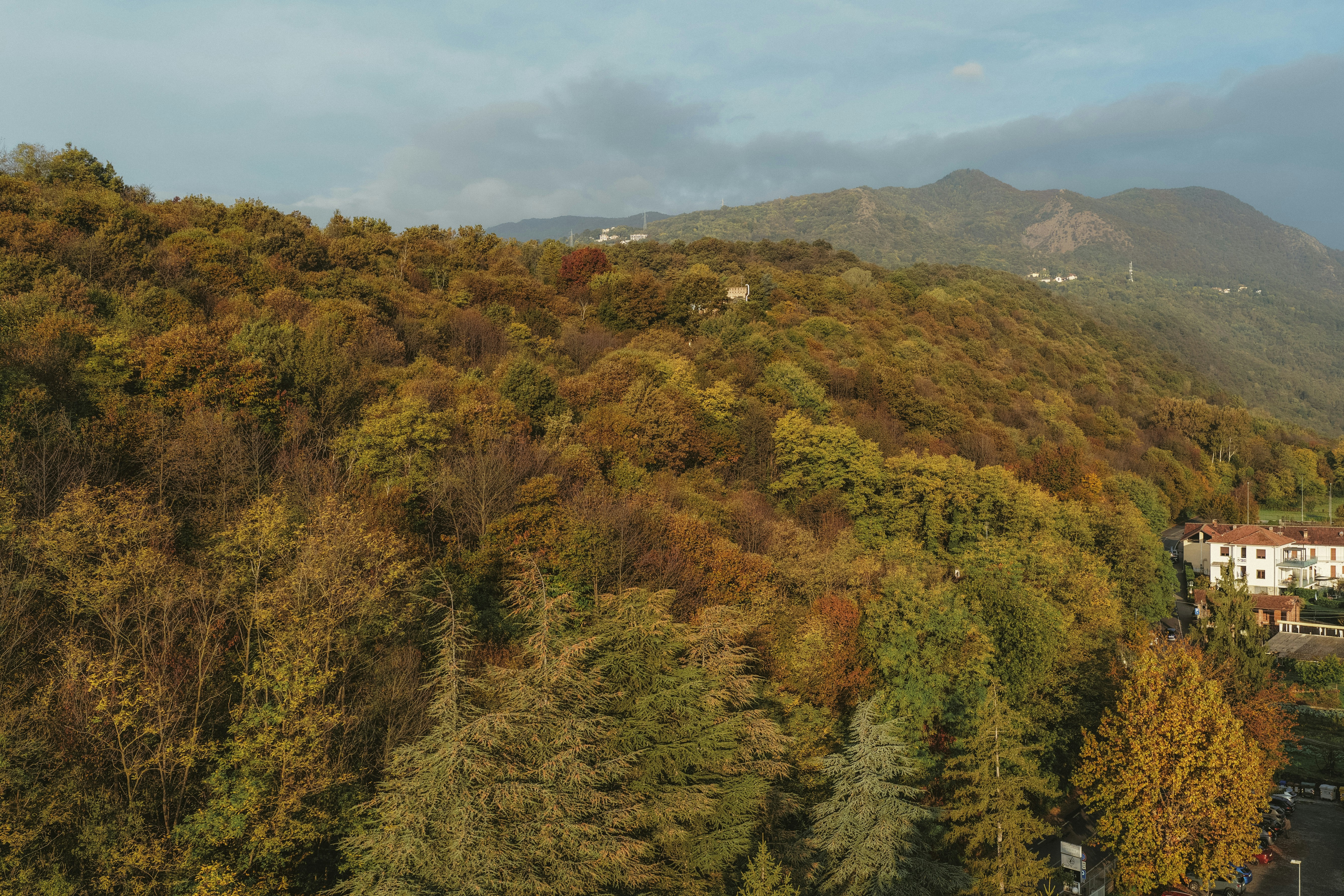 Photo by i_am_simoesse