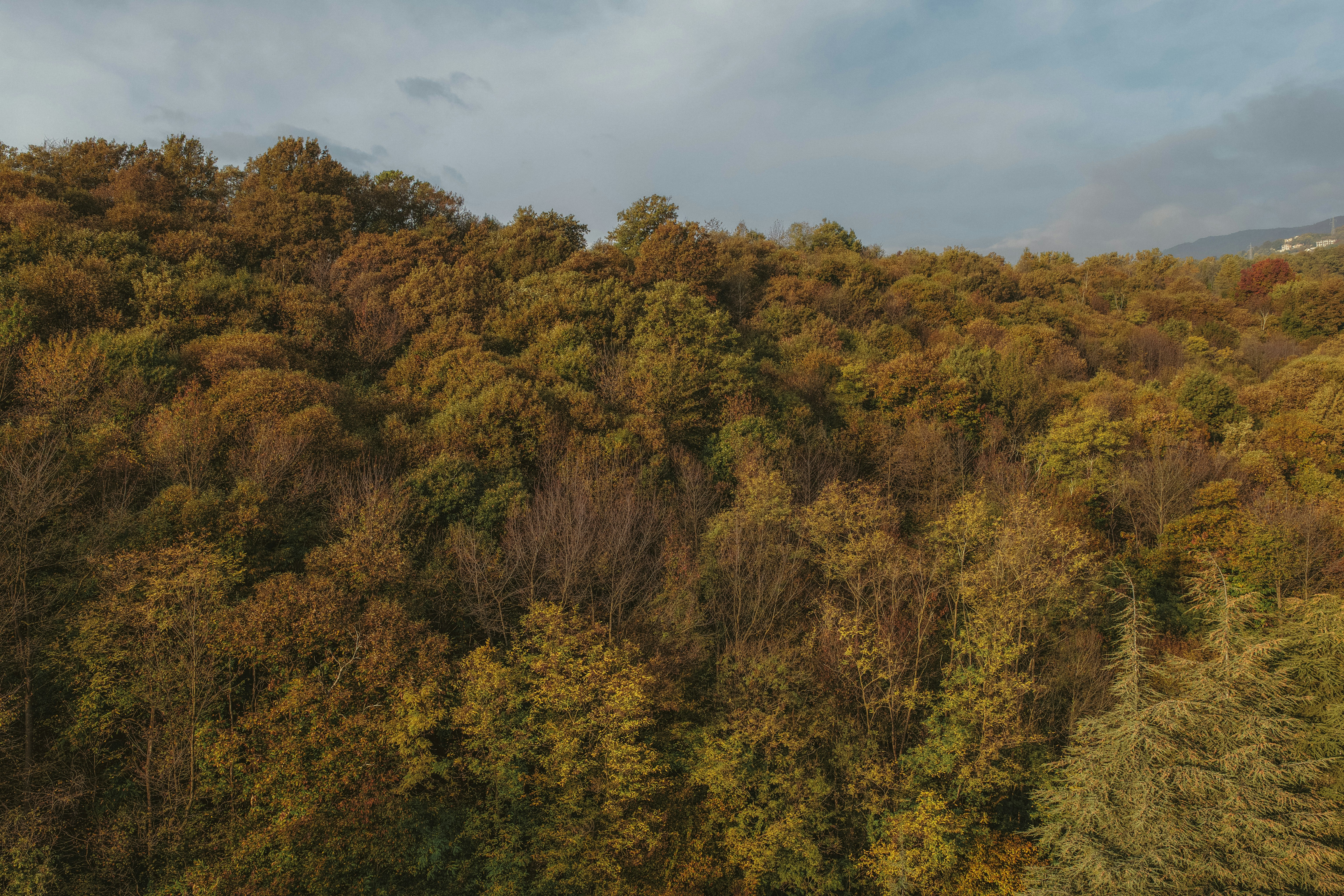 Photo by i_am_simoesse