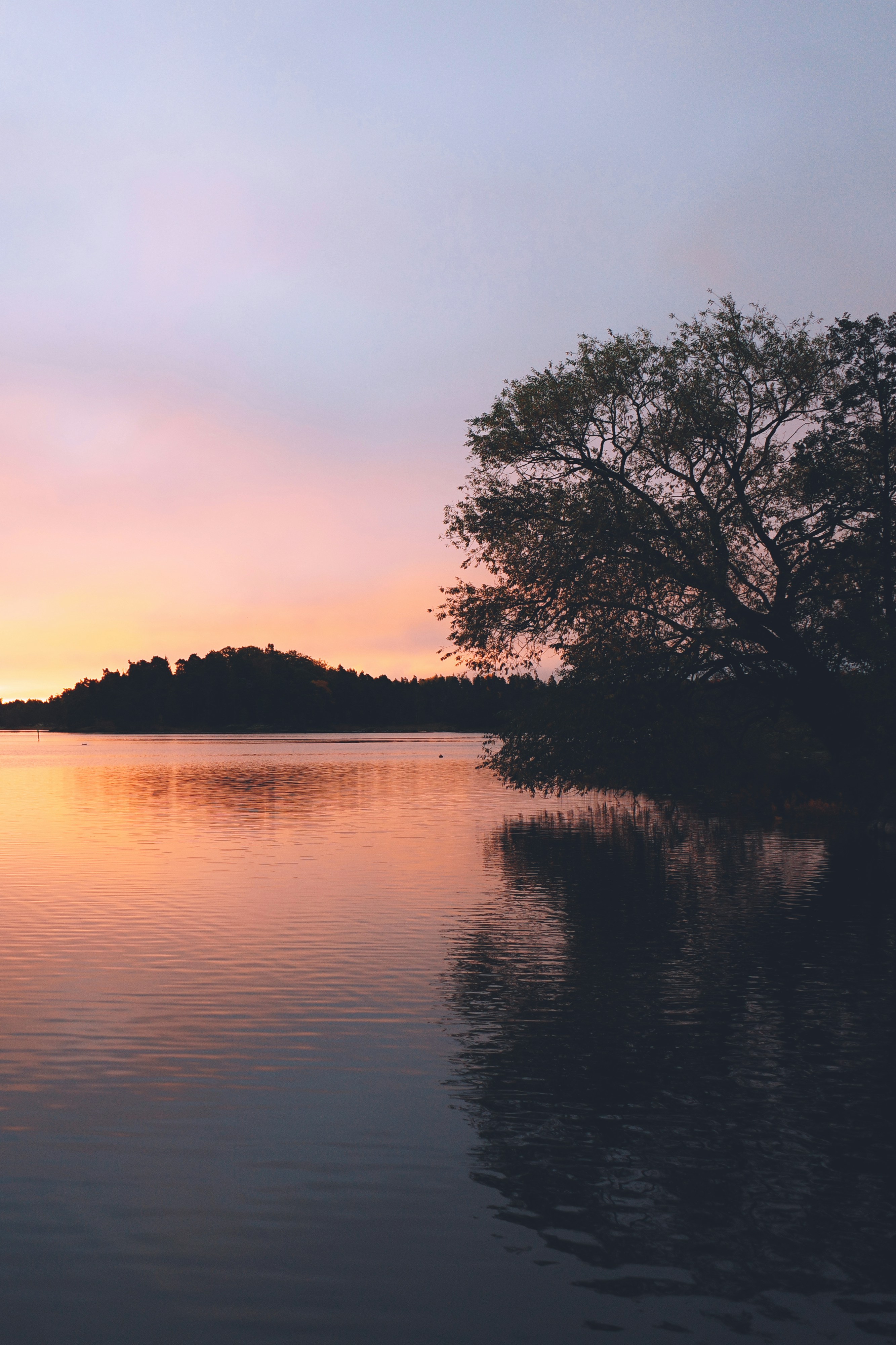 Photo by krizgonzalez