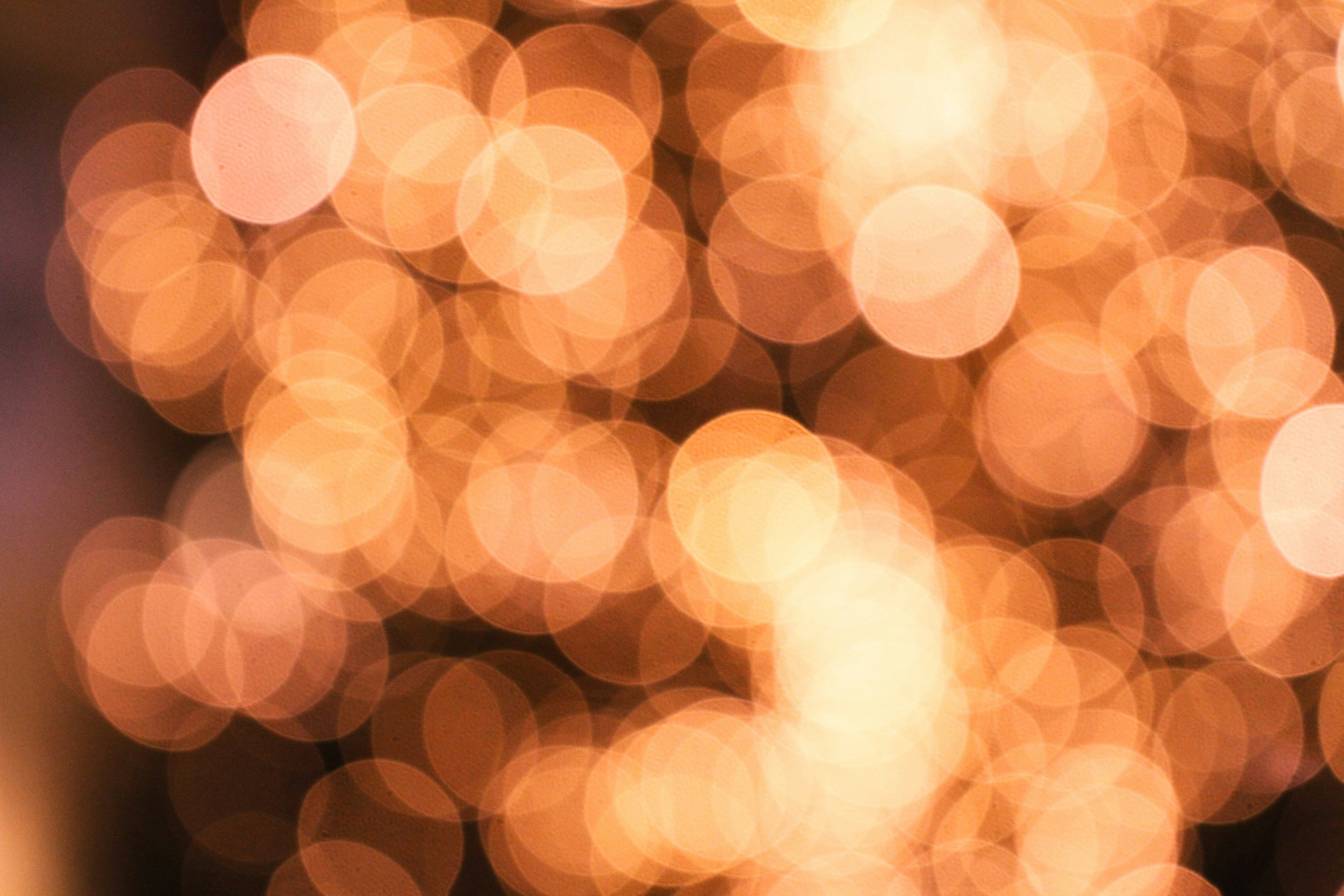 Photo by alightproduction_by_sabrinawendl