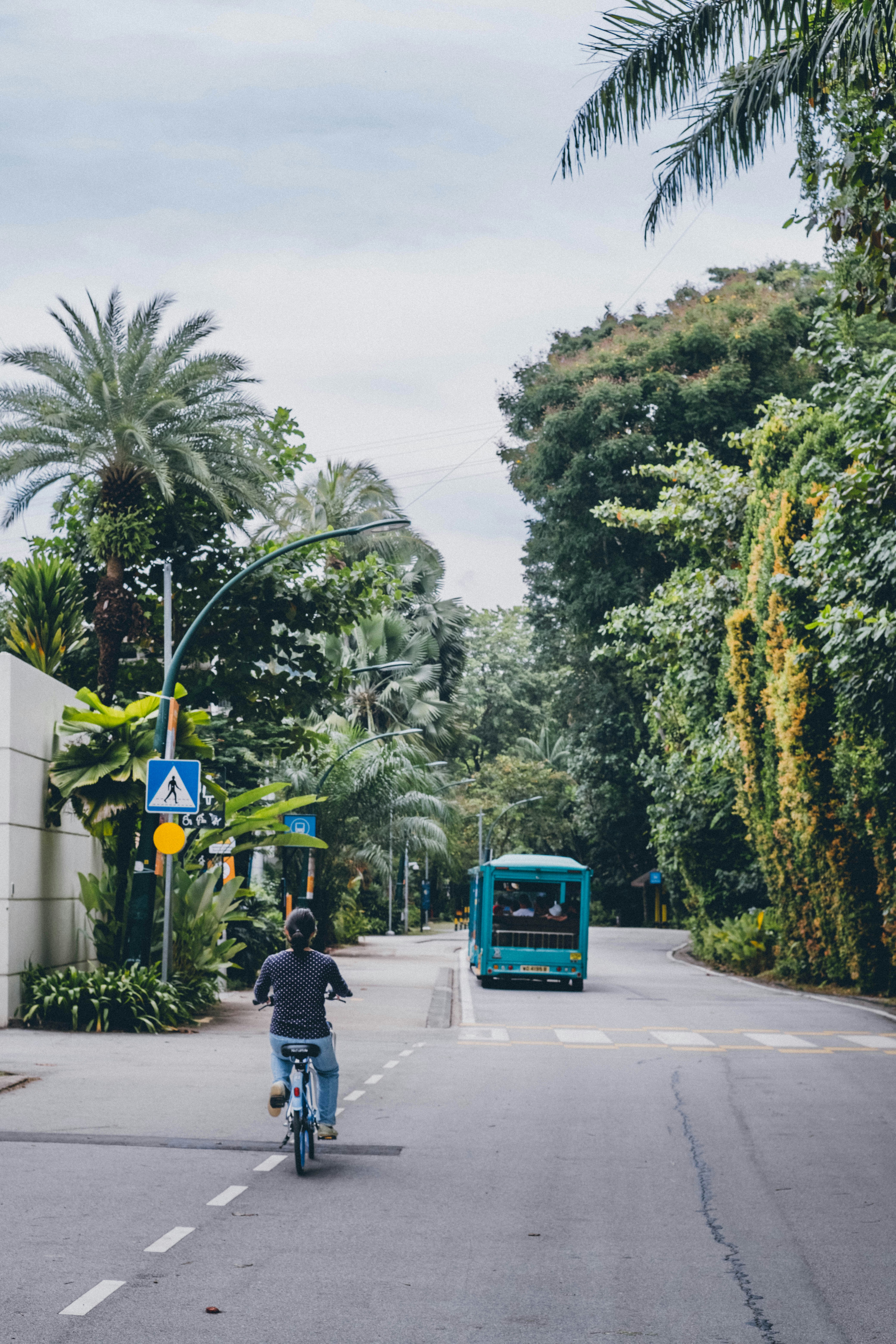 Person riding bicycle on road with bus