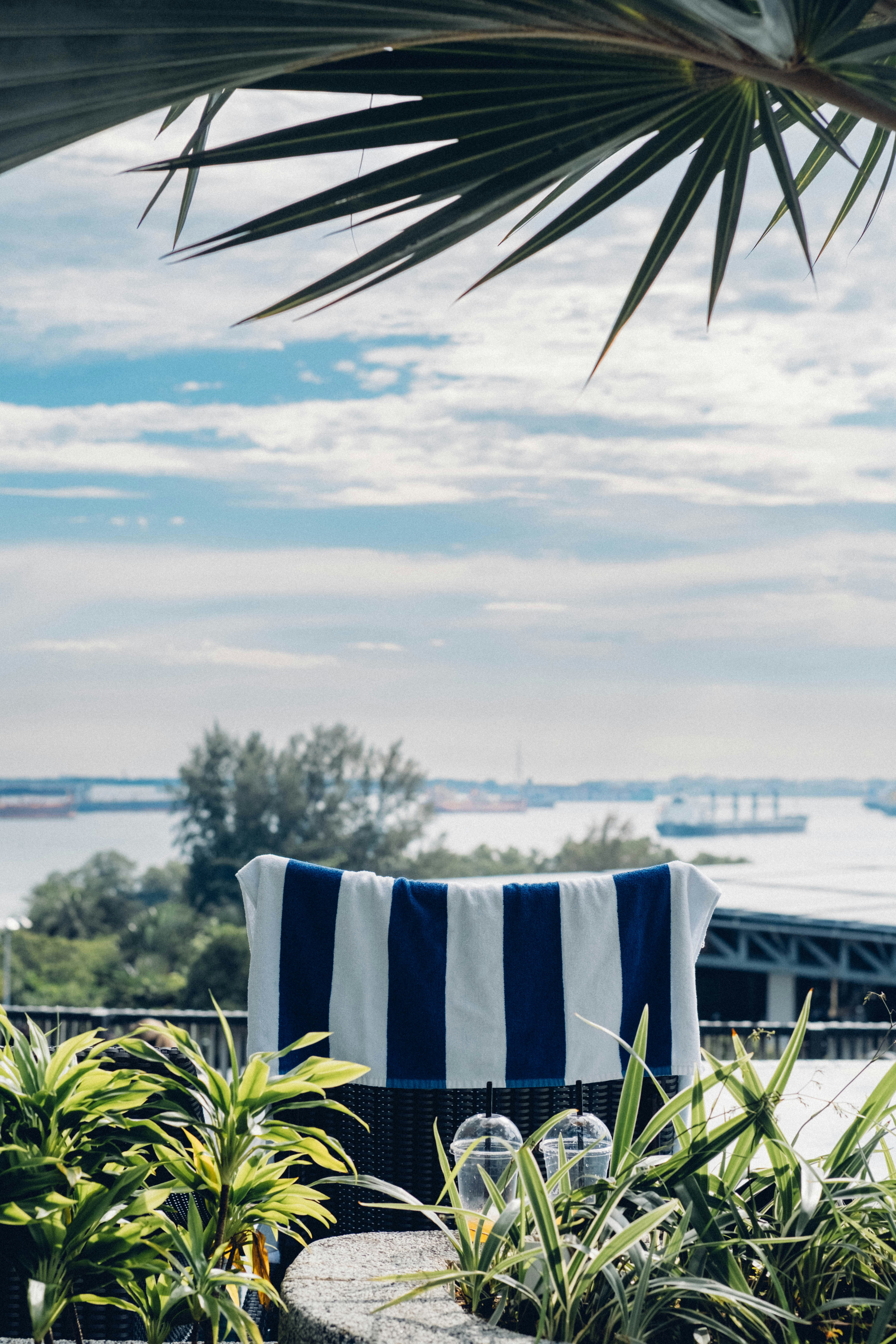 Gestreiftes Handtuch hängt mit Palmwedeln in der Nähe des Wassers