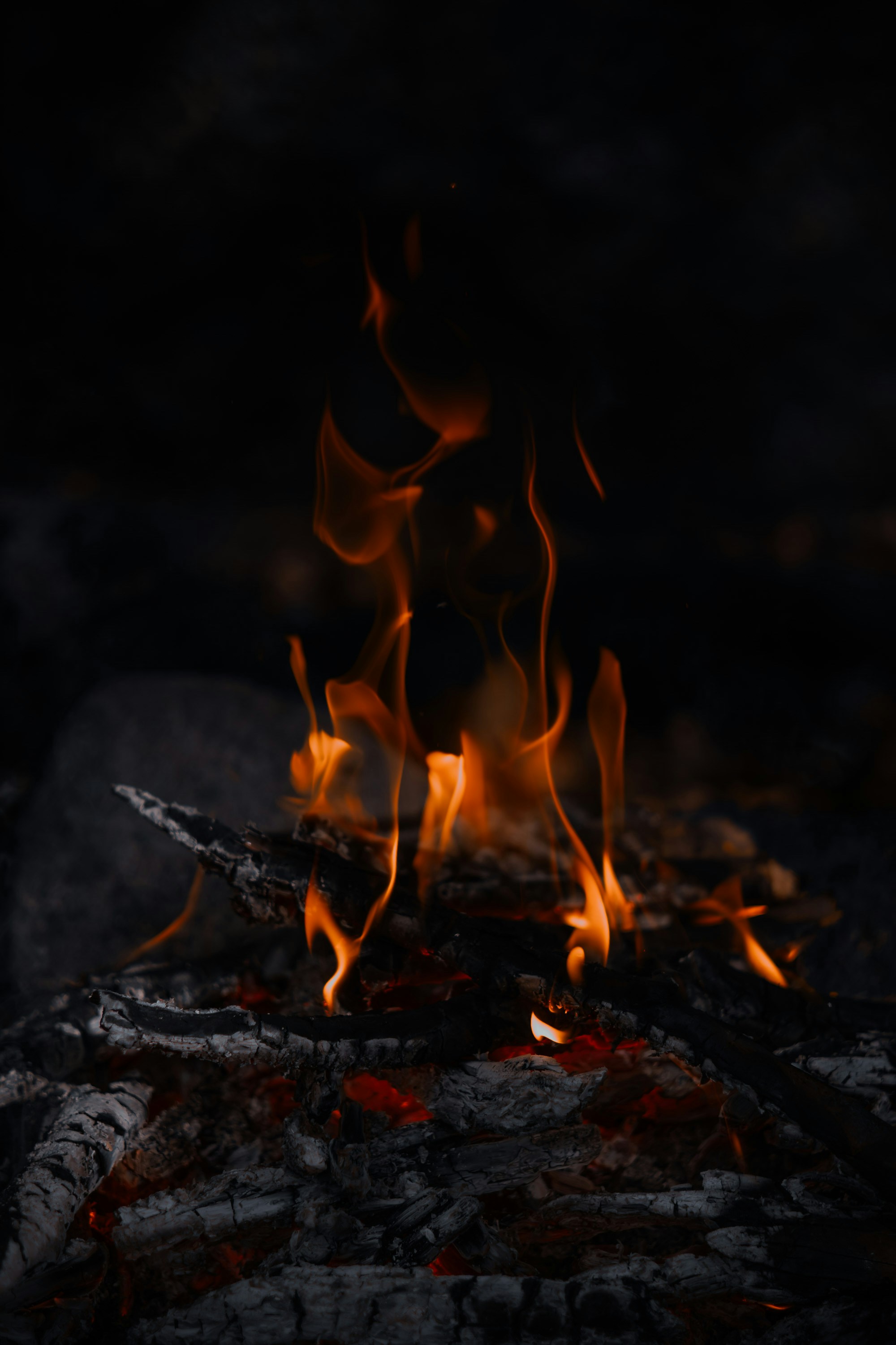 Cozy campfire night glow, ilustrasi artikel Illuminate Your Adventures: The Ultimate Guide to Versatile Camping Lanterns 9