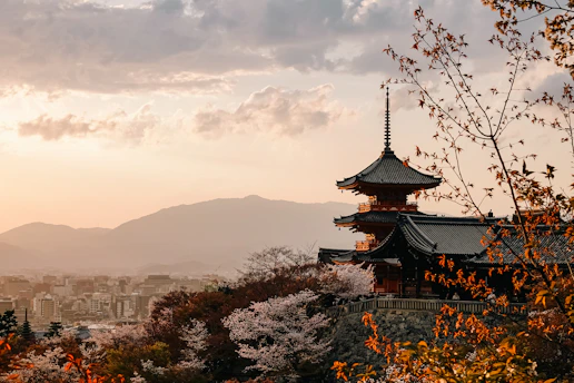 Traditional japanese temple with cherry blossoms at sunset