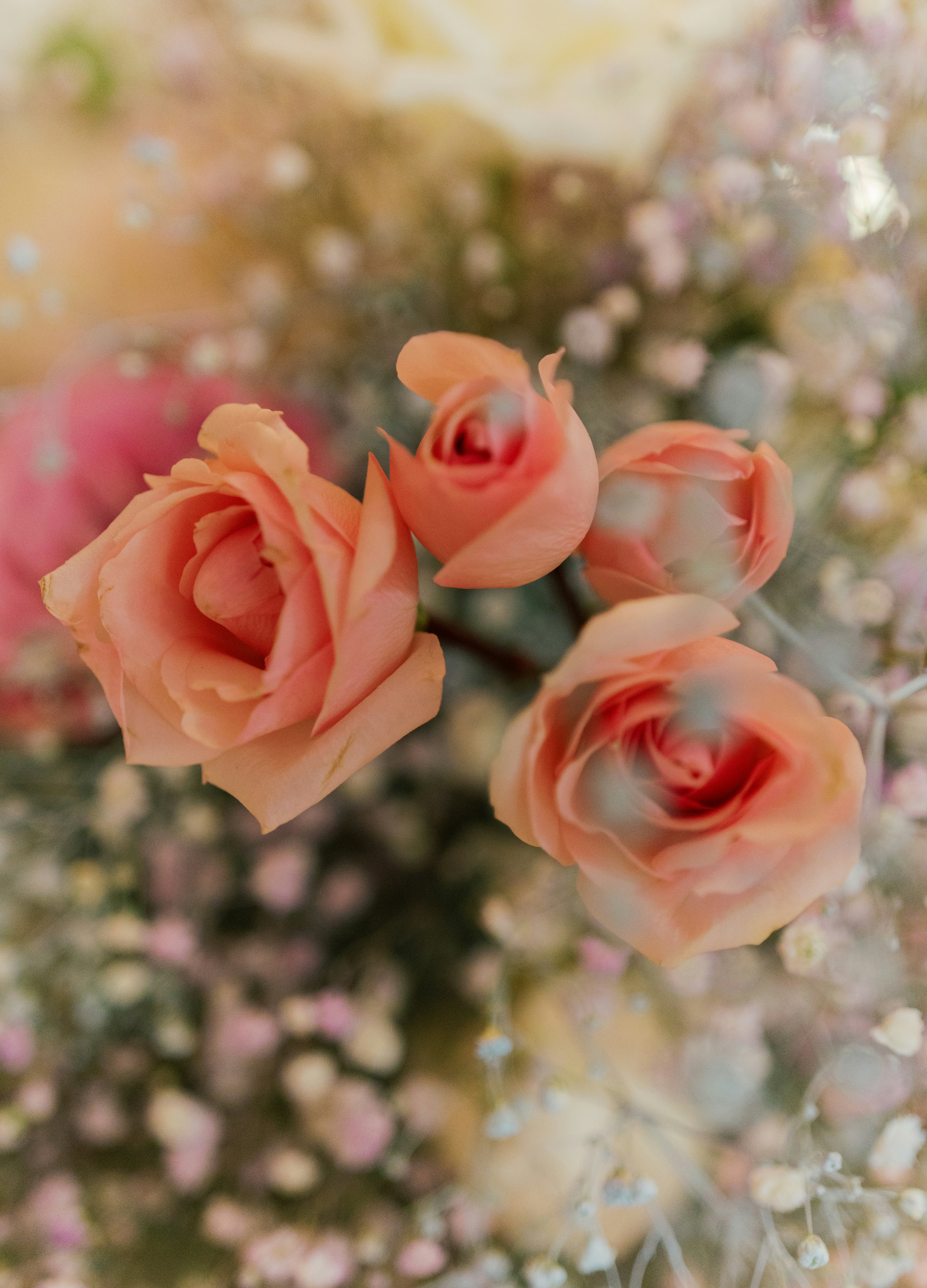 Photo by geoffreyafaber