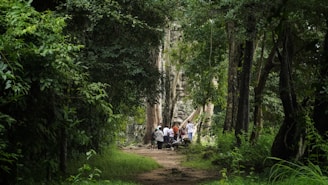 Group of people in a lush green forest