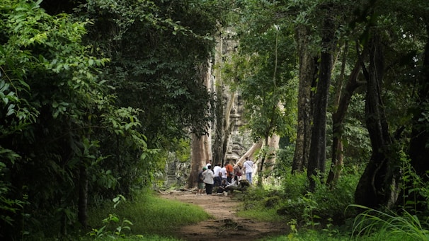 Group of people in a lush green forest