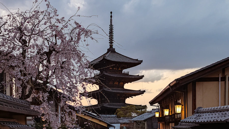 Temple under cherry blossoms