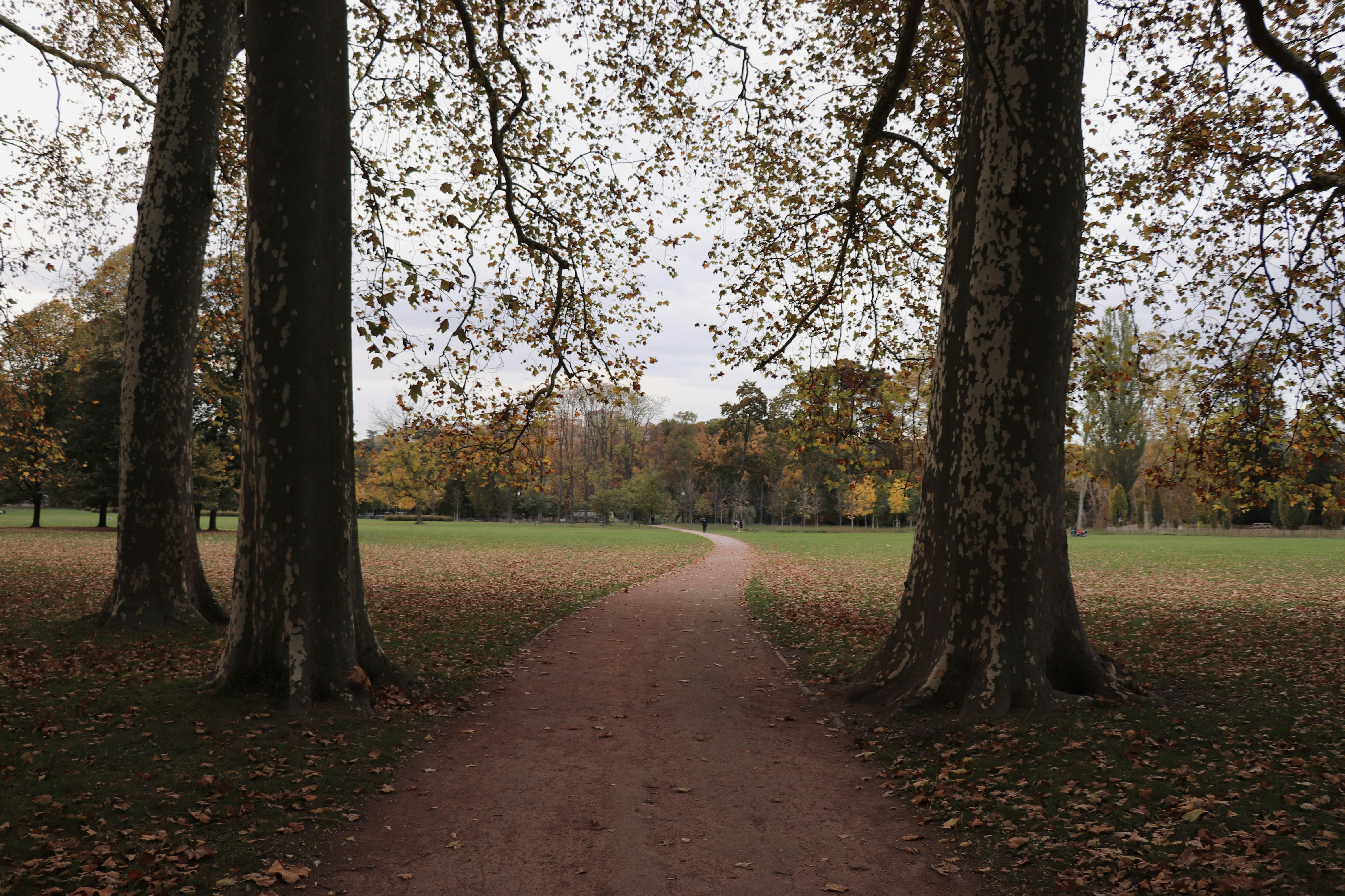 Nosef Park