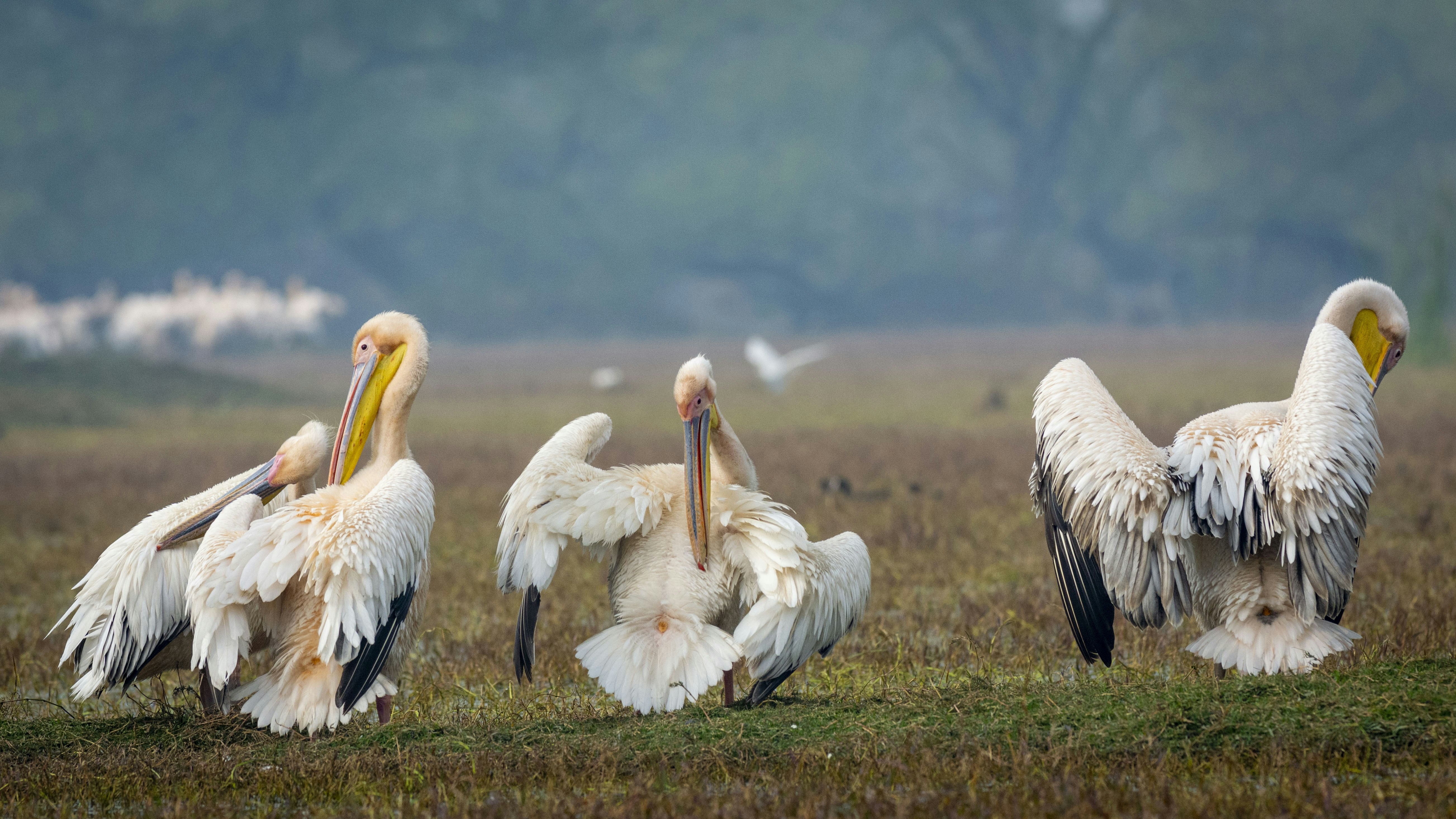 Photo by anand_mahajan1997