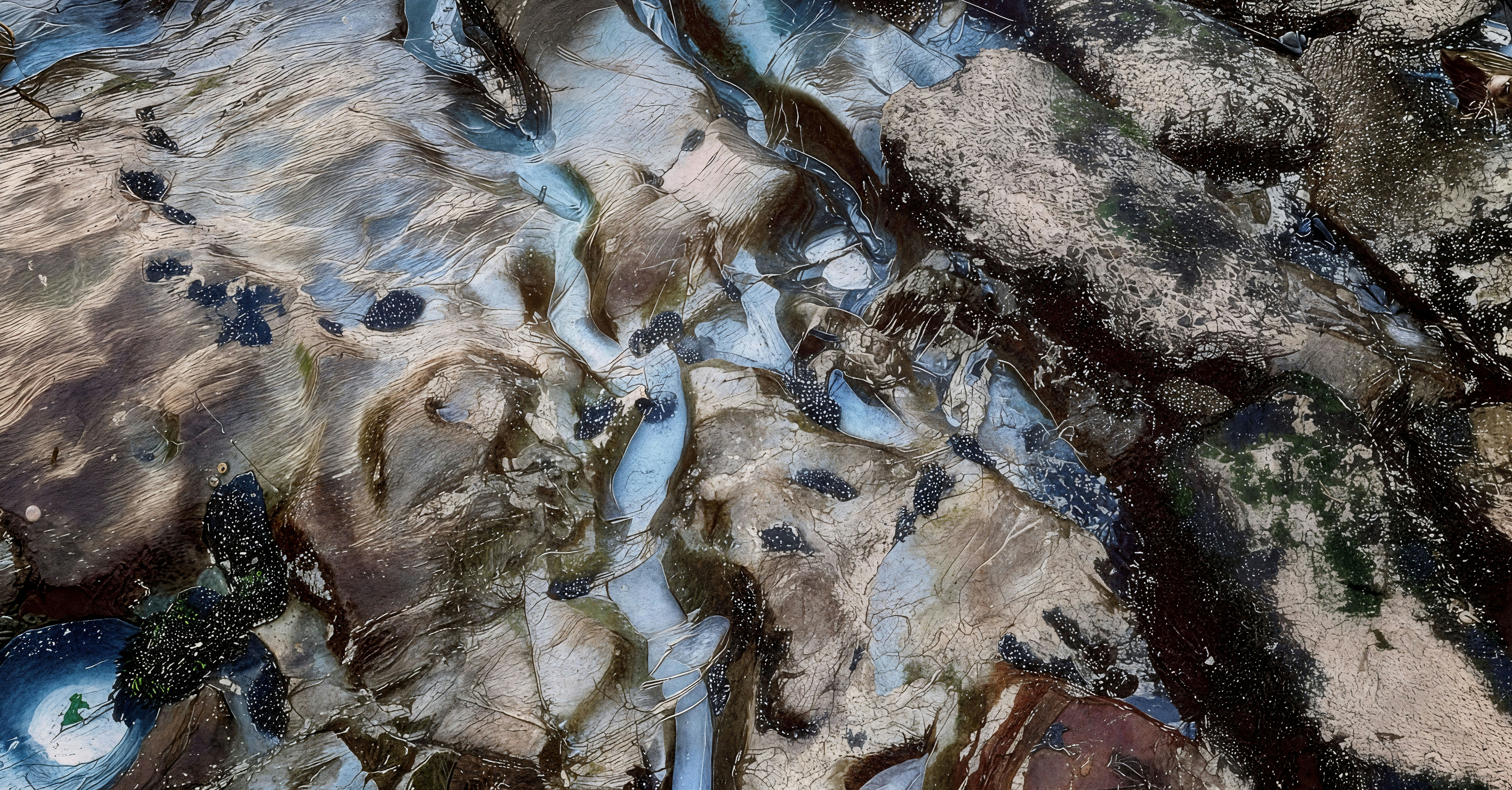 Photo by henniestander