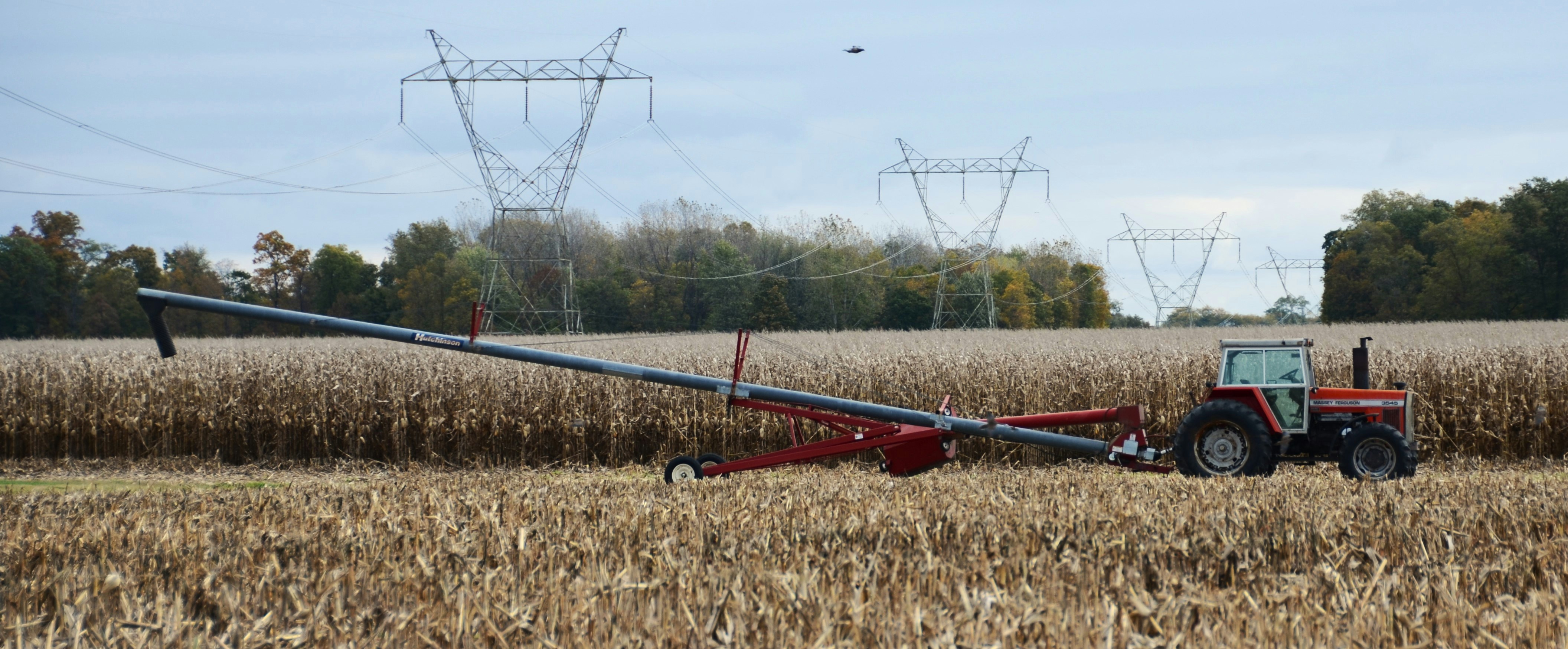 Tractor and grain auger in a dry cornfield