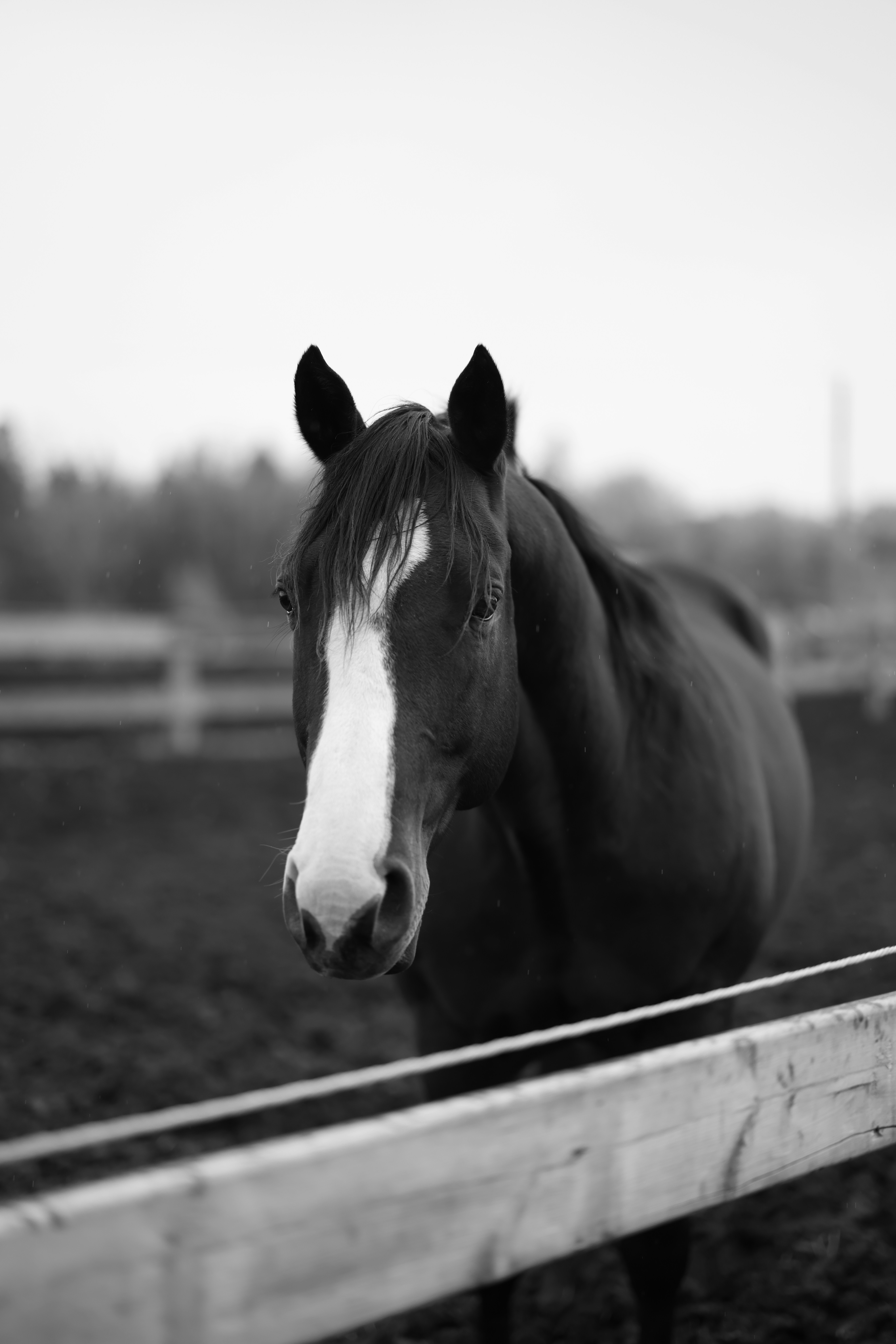 Photo by one91creative