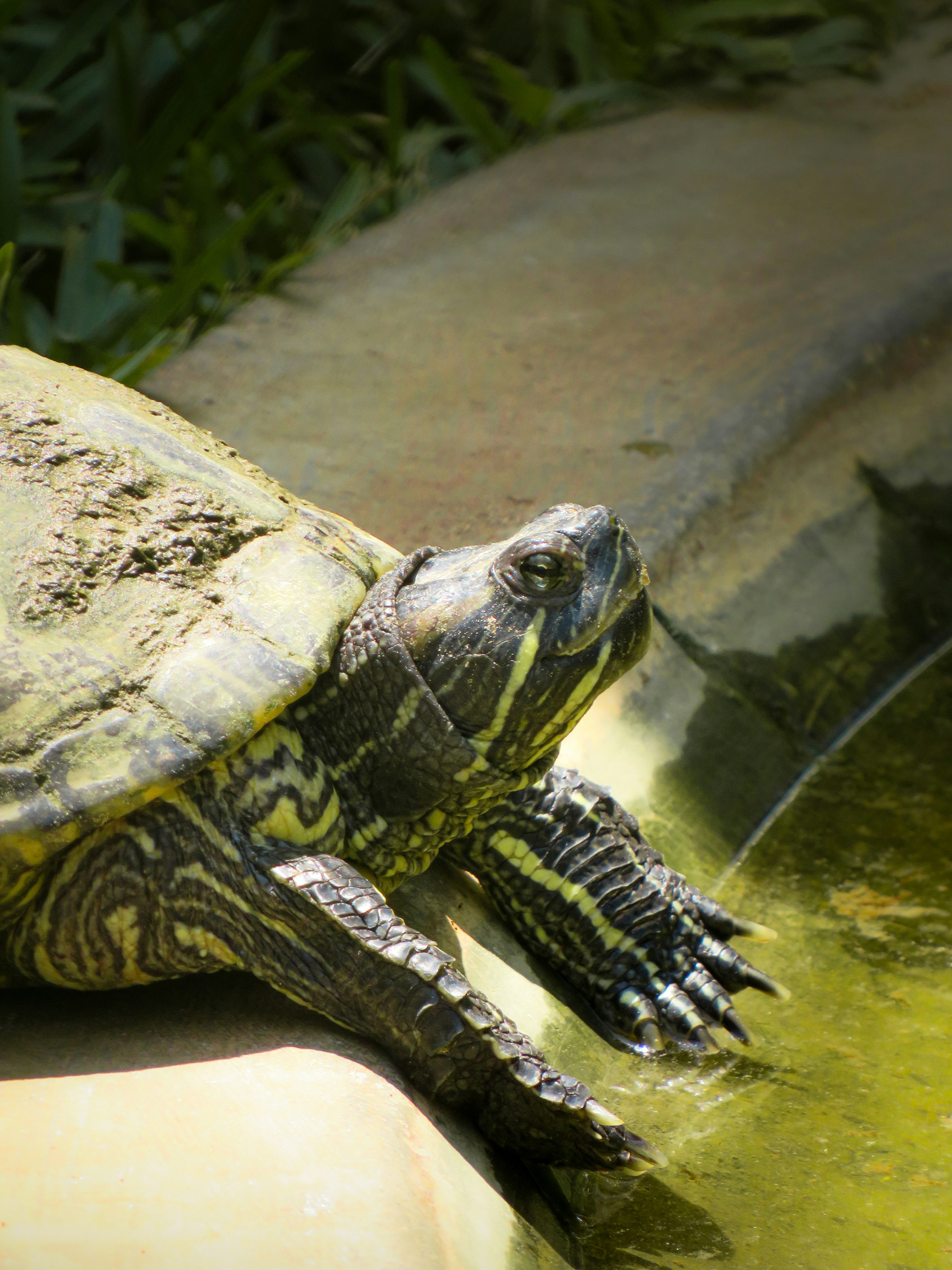 Photo by dreamora96x