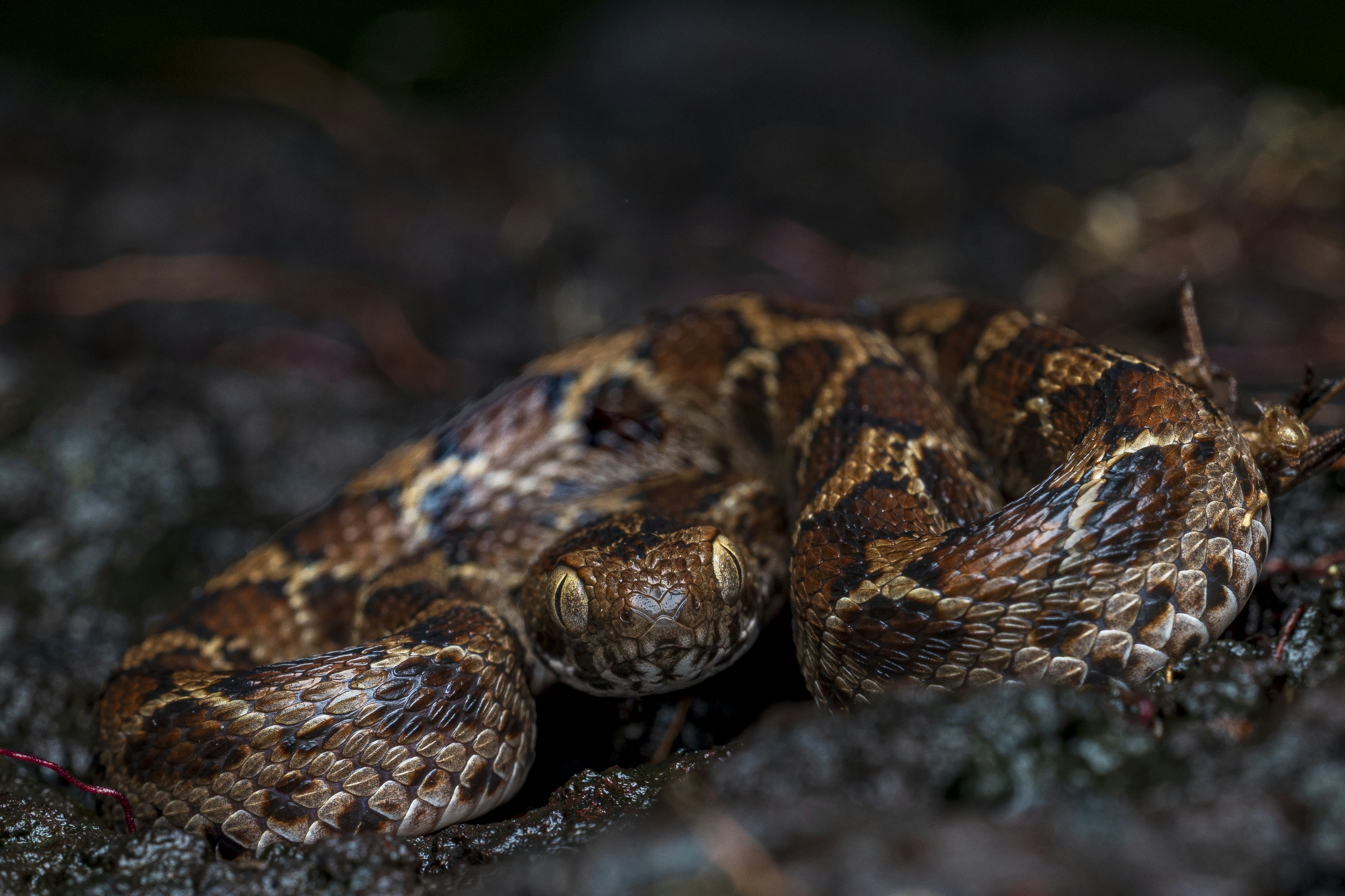 Photo by vinit_modak