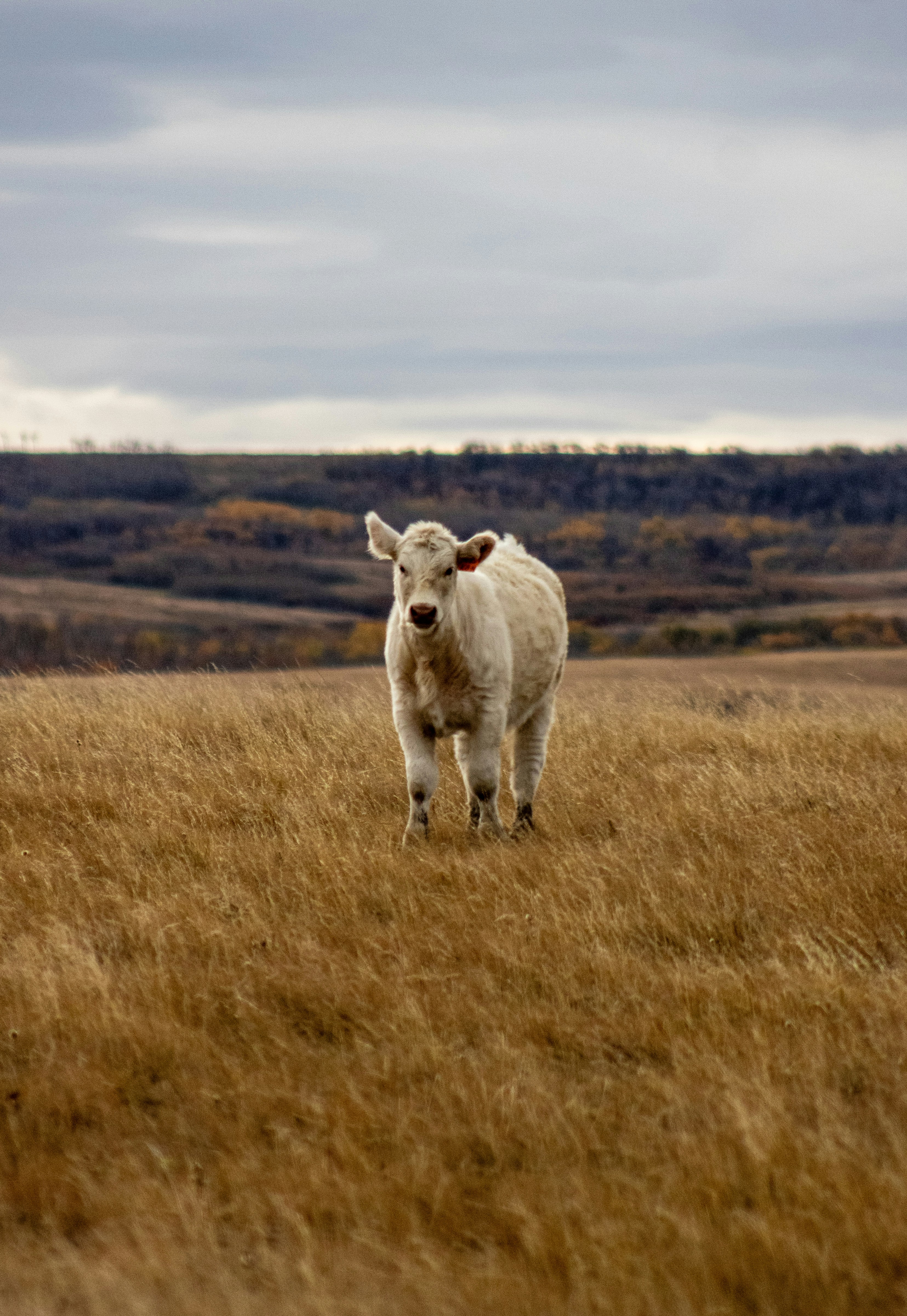 Photo by tavia_0508_sb