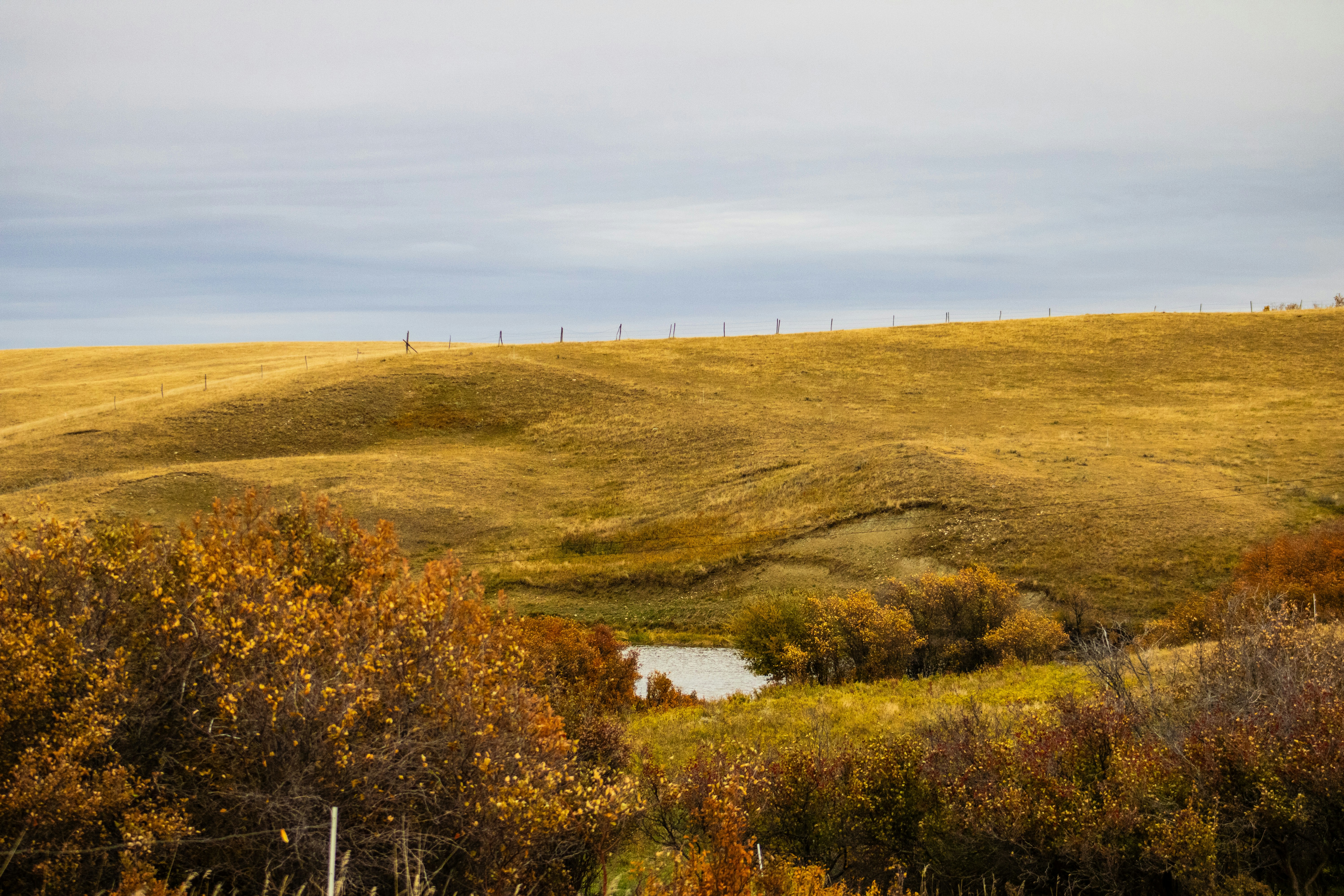Golden rolling hills with a small pond and autumn foliage.