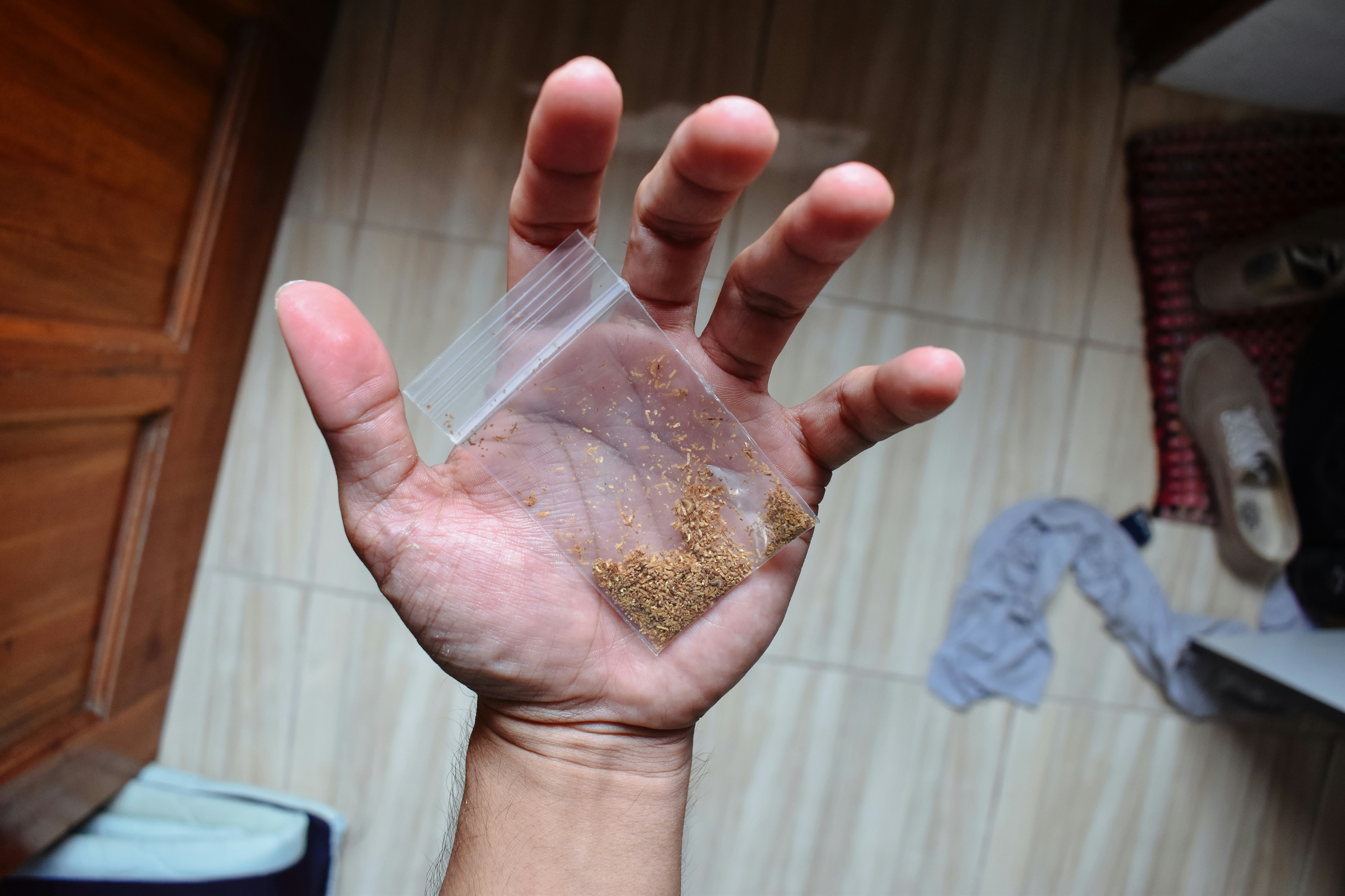 Semillas pequeñas en una bolsa de plástico en la palma.