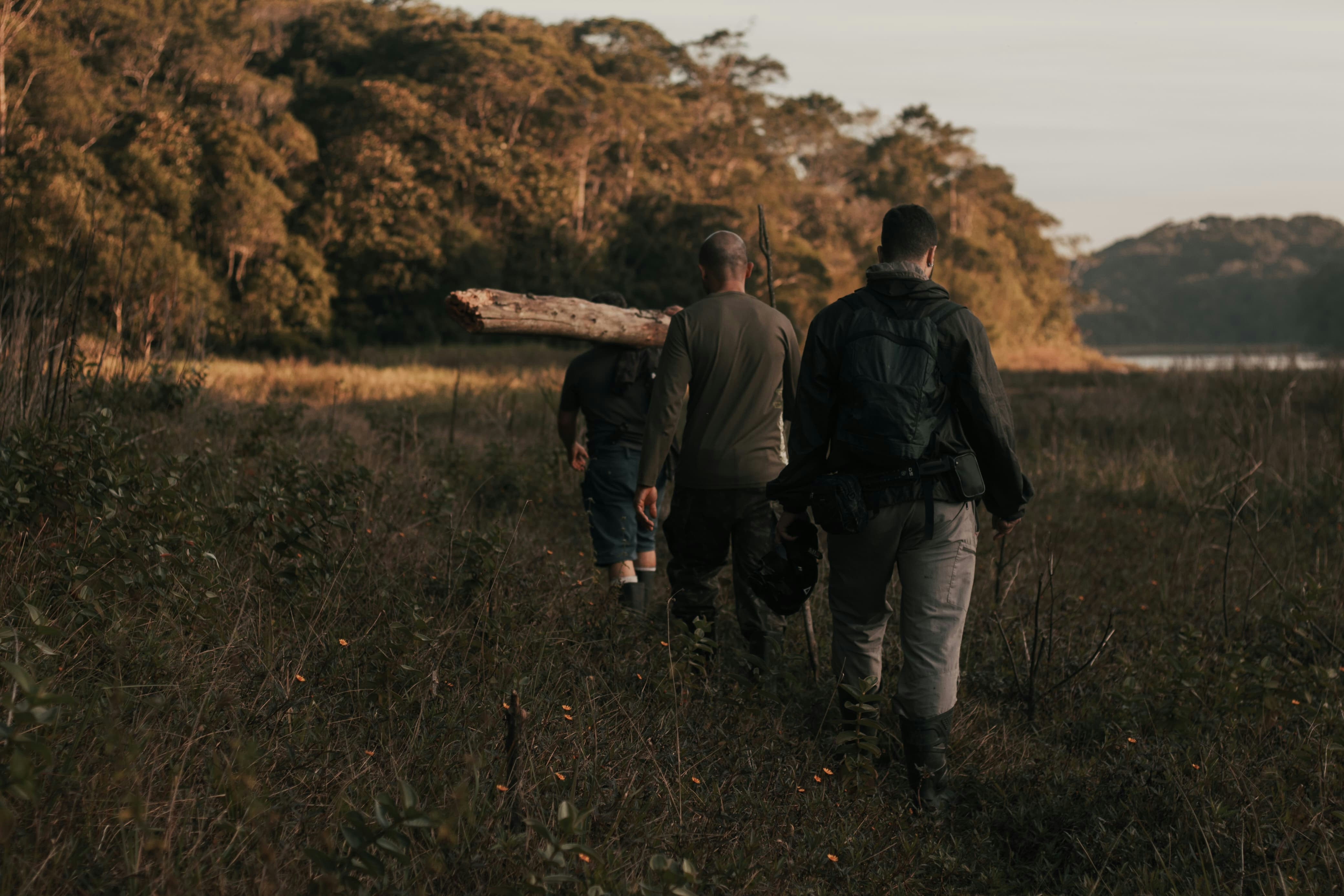 Three people walking through a grassy field towards trees