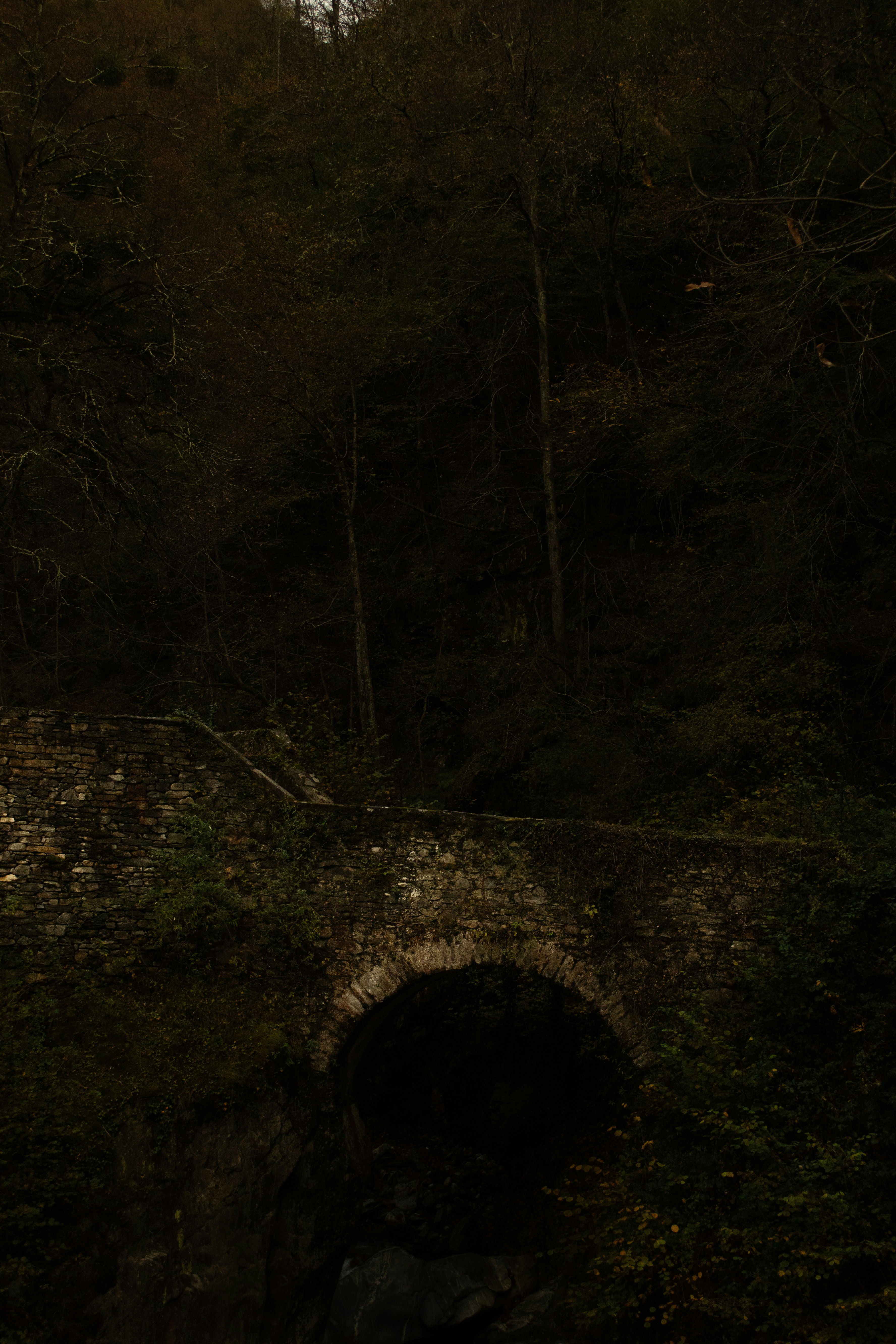 Photo by _chin_davide