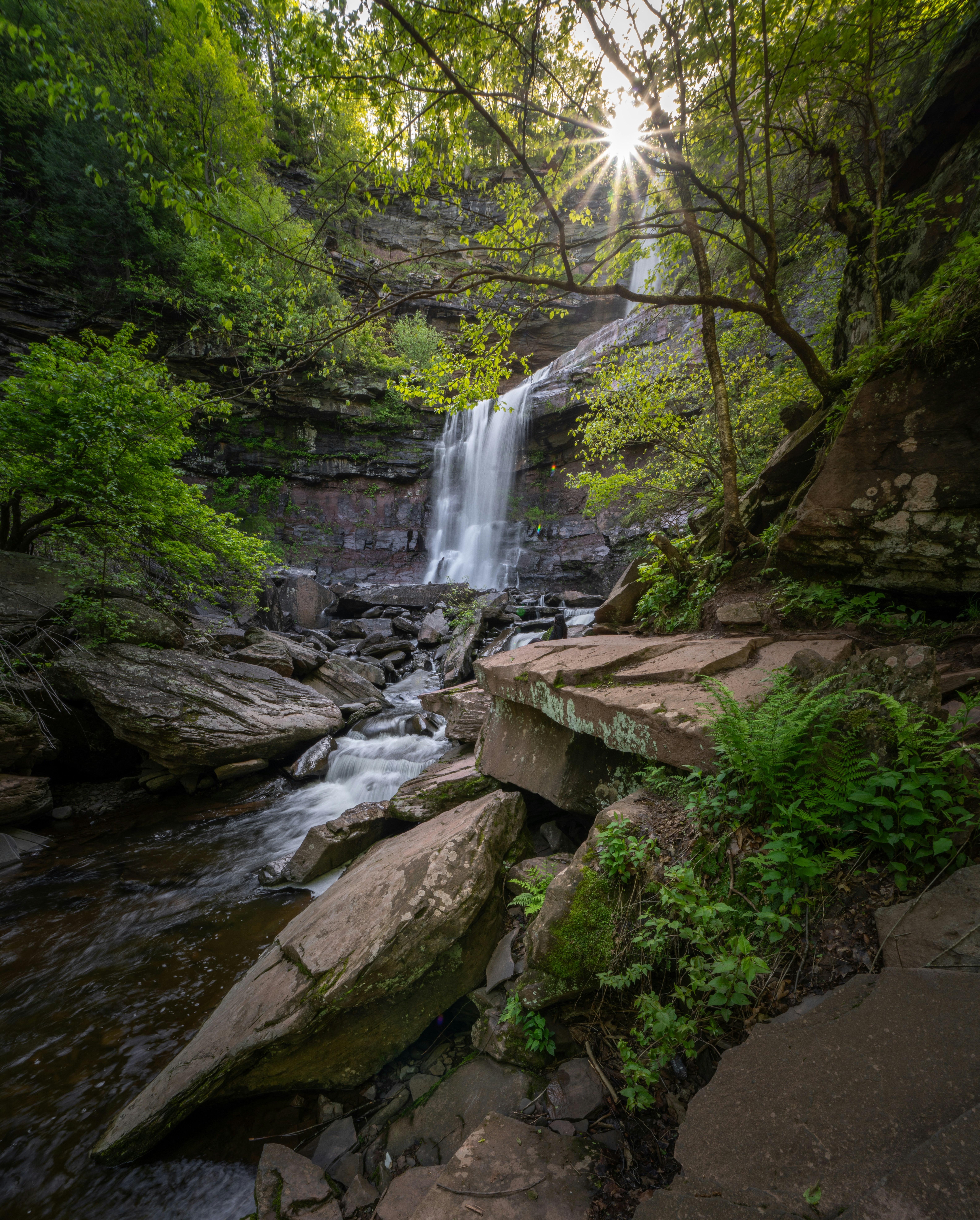 Sunlight streams through trees onto a cascading waterfall.