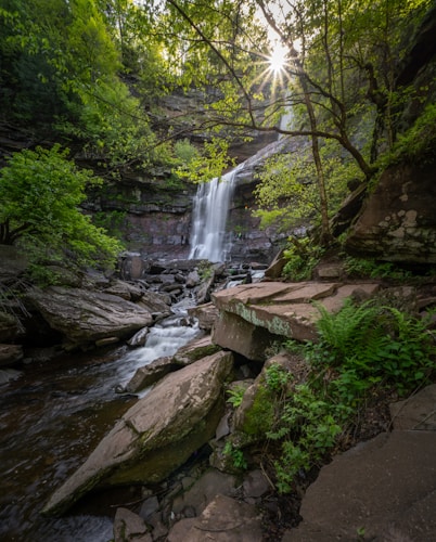 Rainforest Waterfall Hike & Chocolate Tour