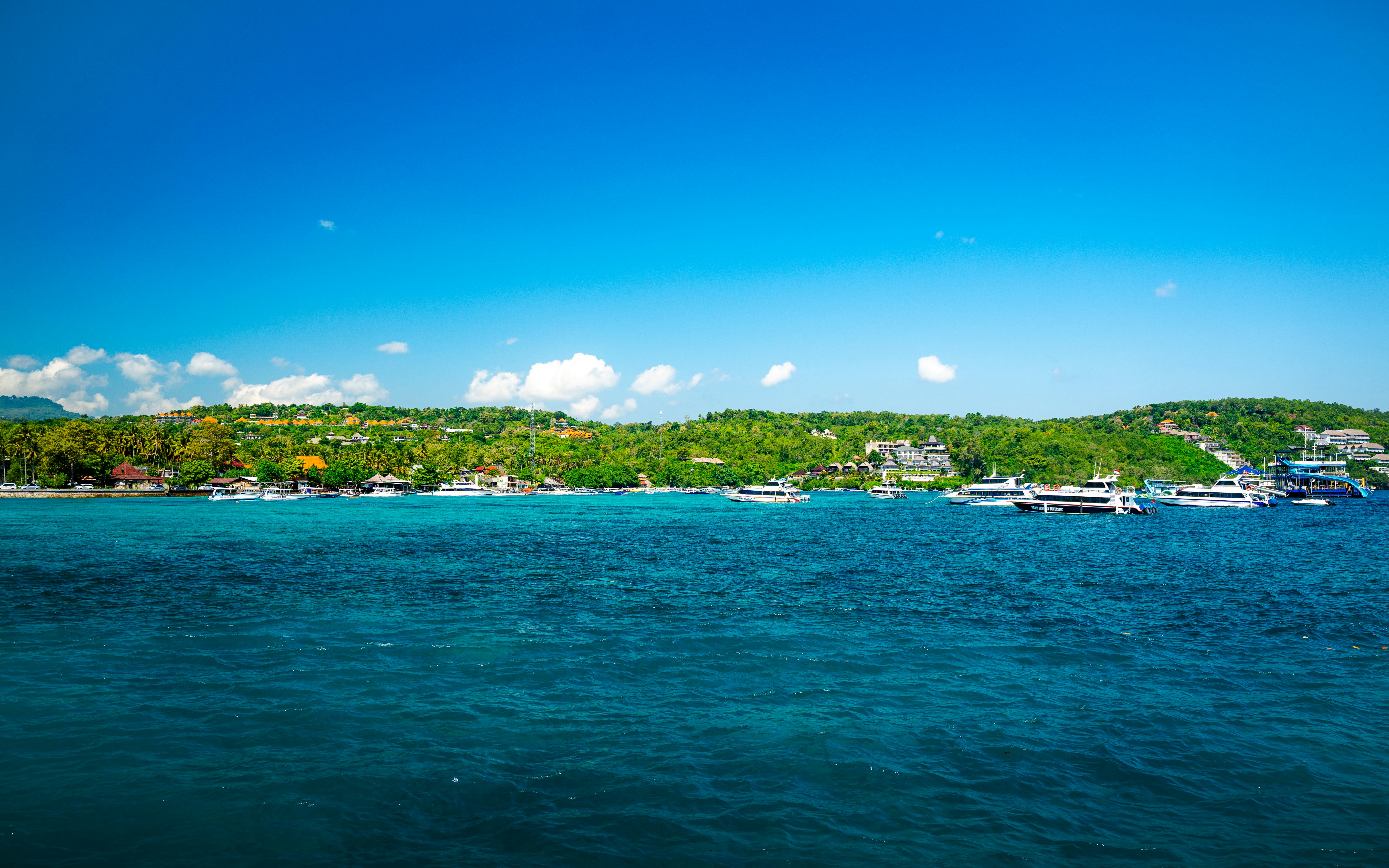 Photo by santhosh_mocharla