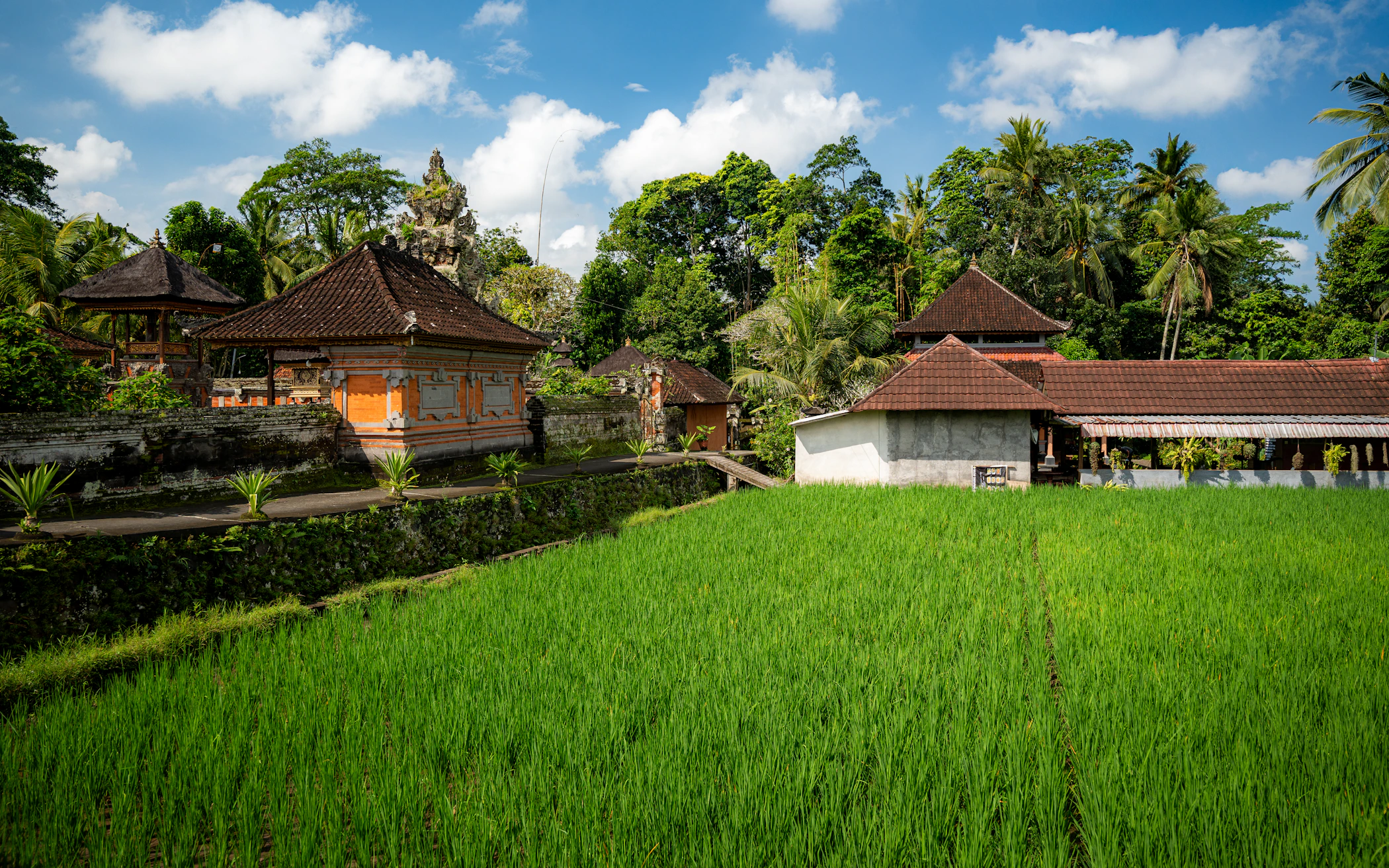 Lush rice fields and traditional architecture in Bali, Indonesia