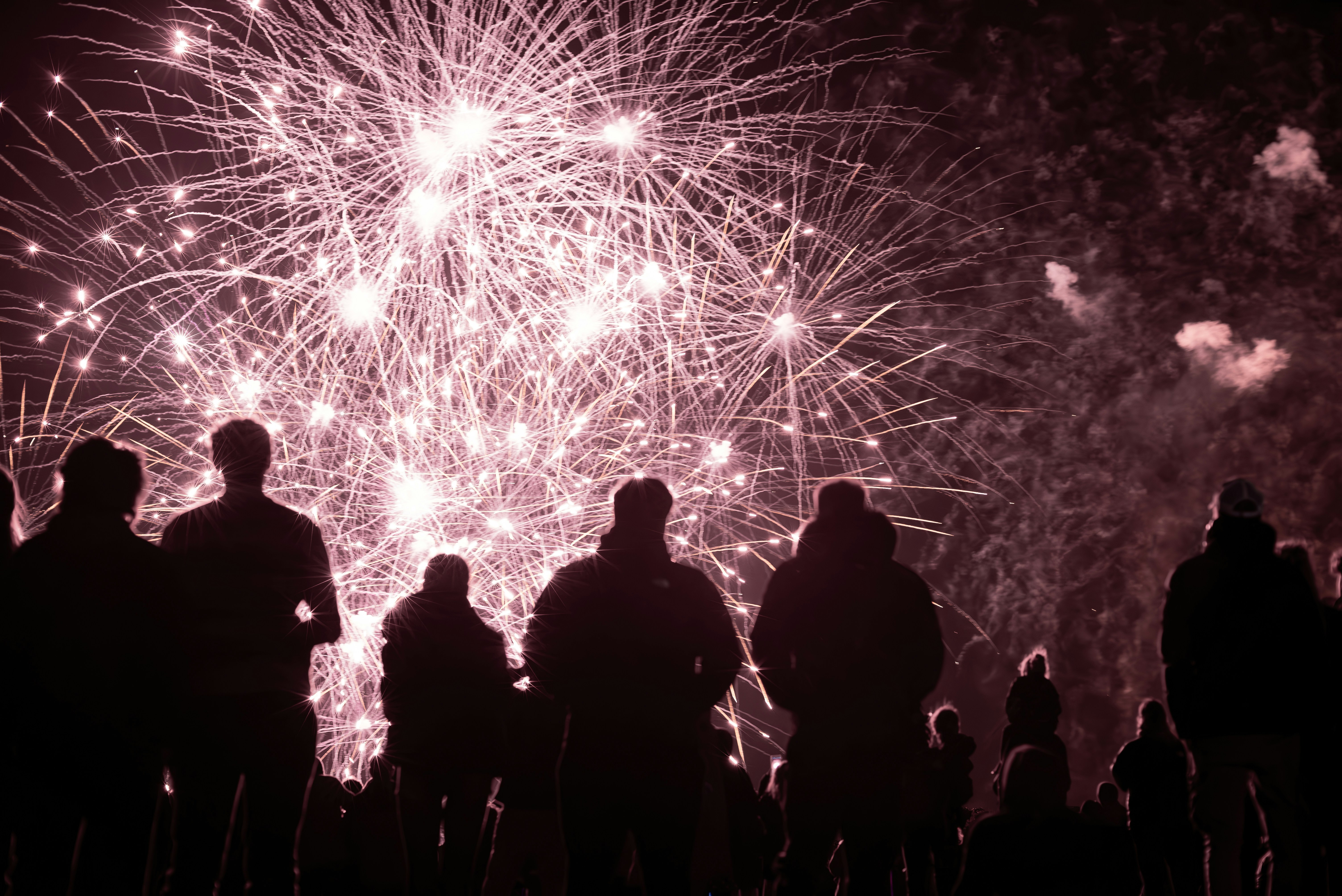 Silhouetted crowd watches fireworks display at night
