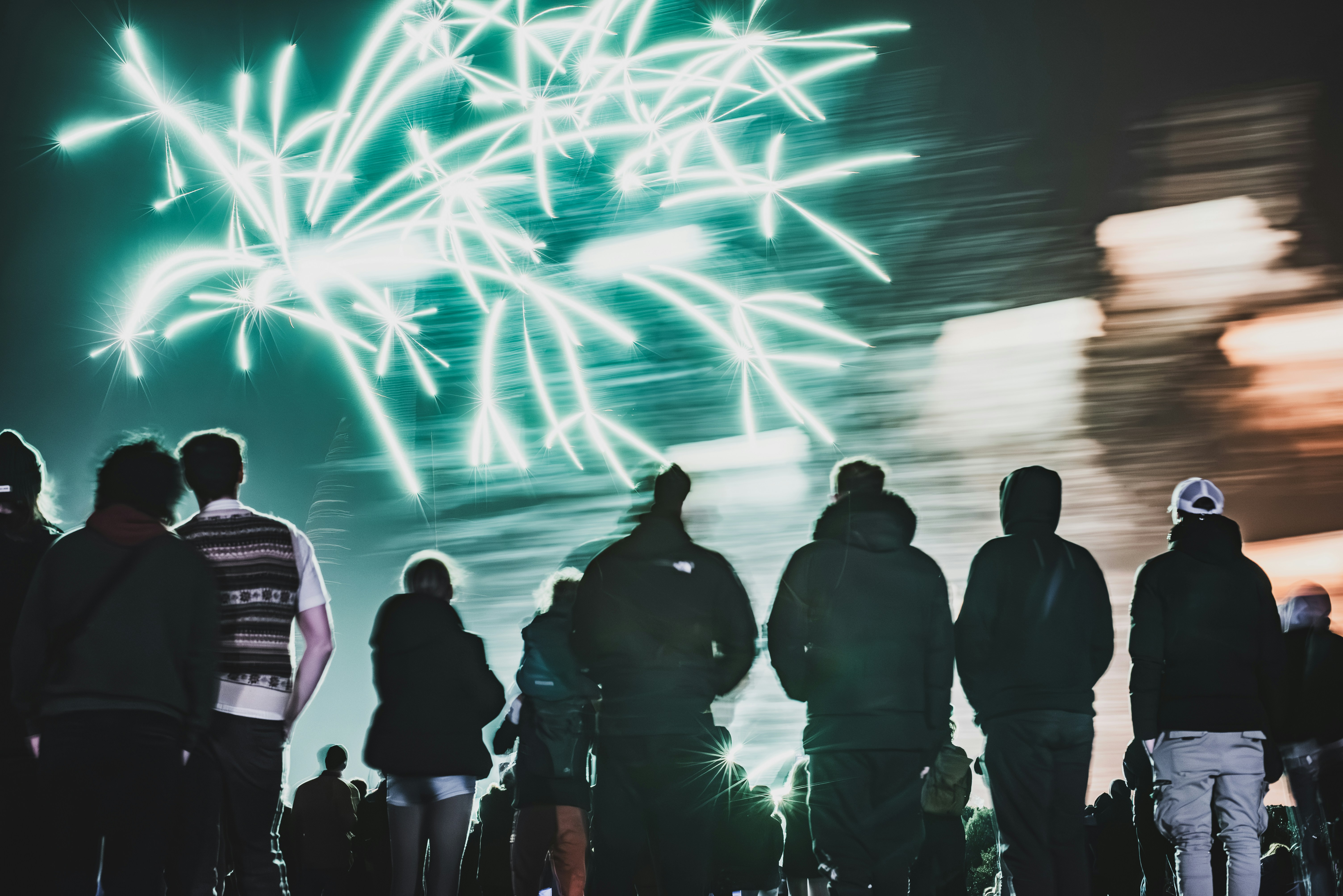 Crowd watches fireworks explode in the night sky