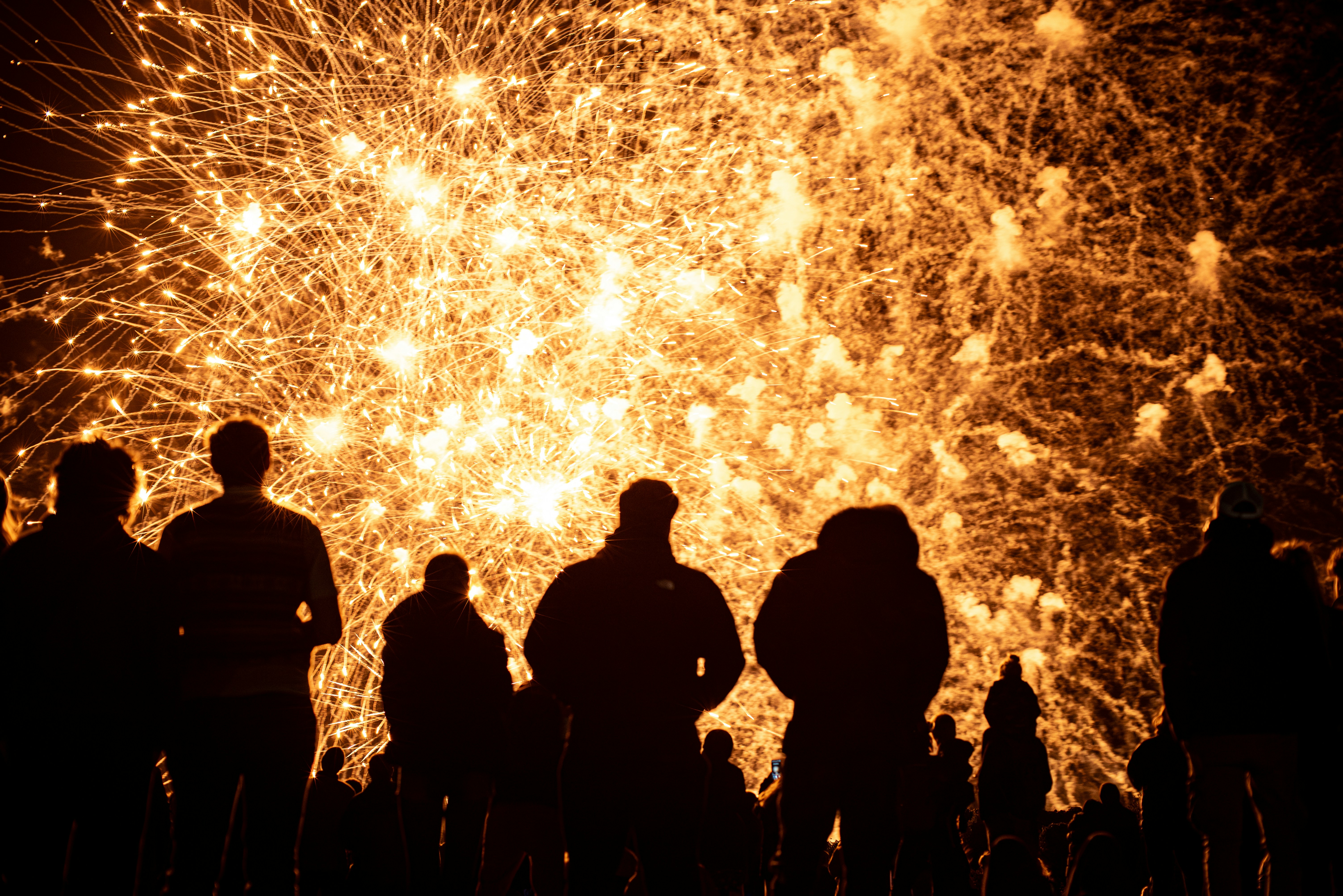 Silhouetted crowd watches a vibrant fireworks display.