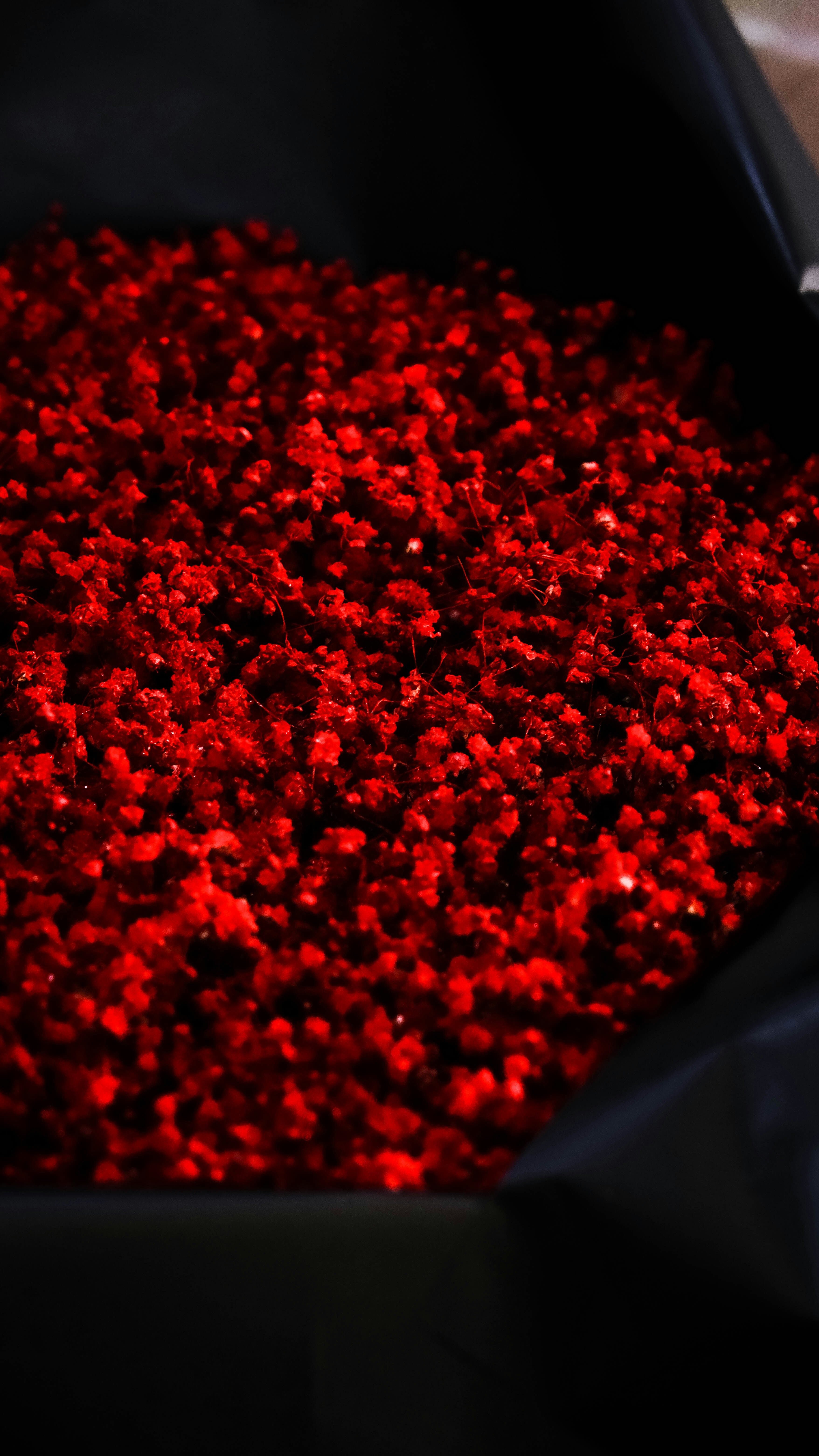 Emerald - Detail shot