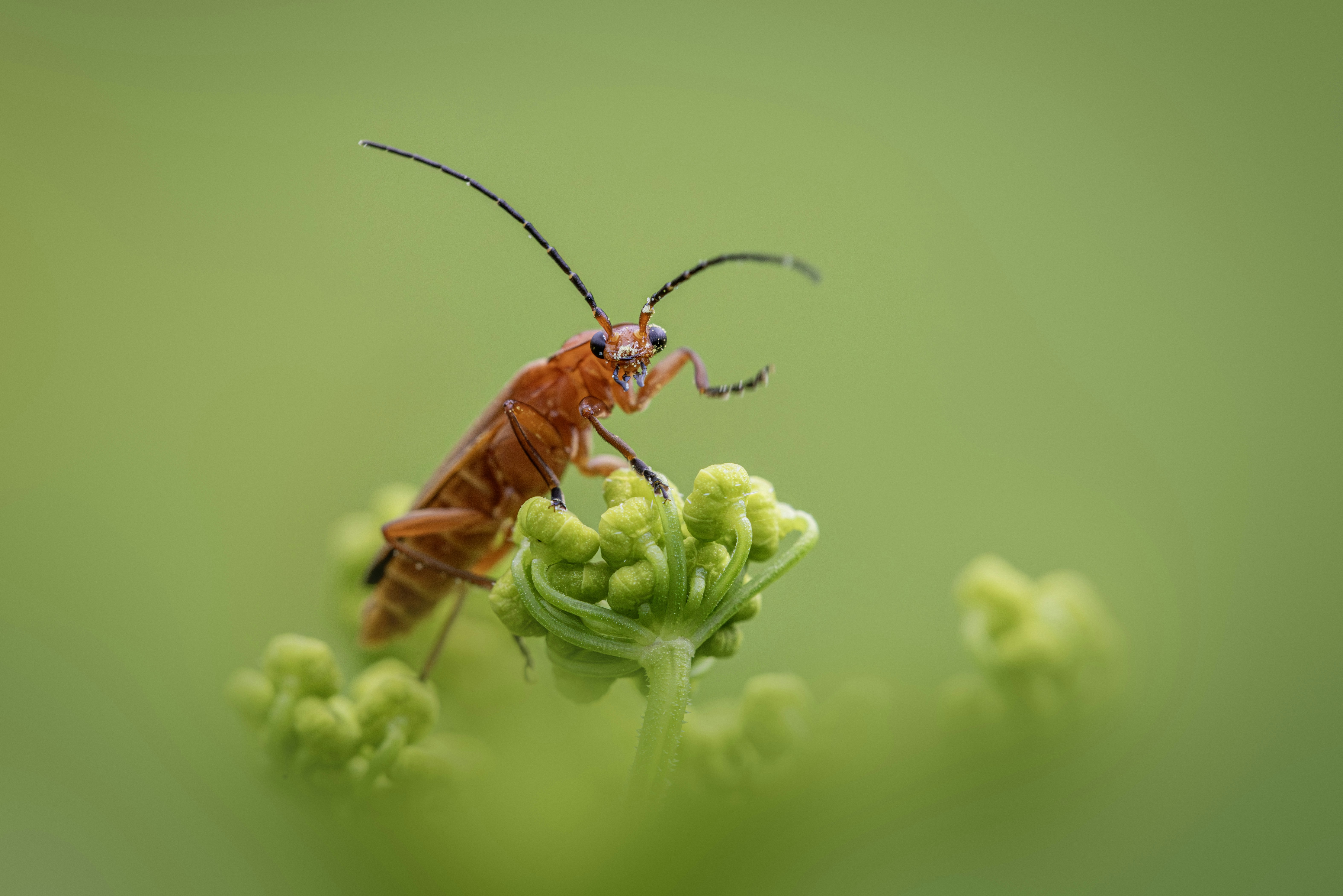 Photo by erik_karits