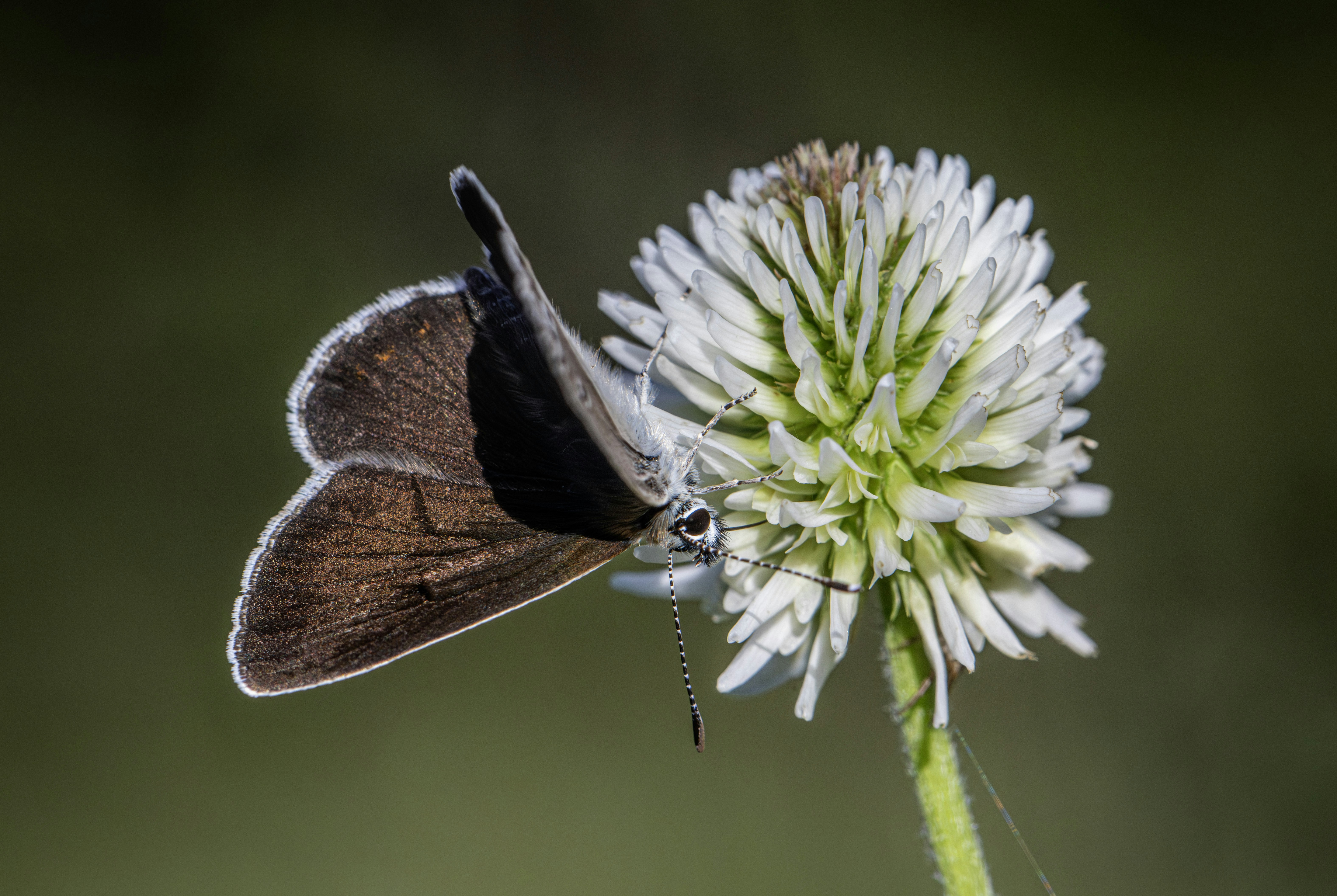 Photo by erik_karits