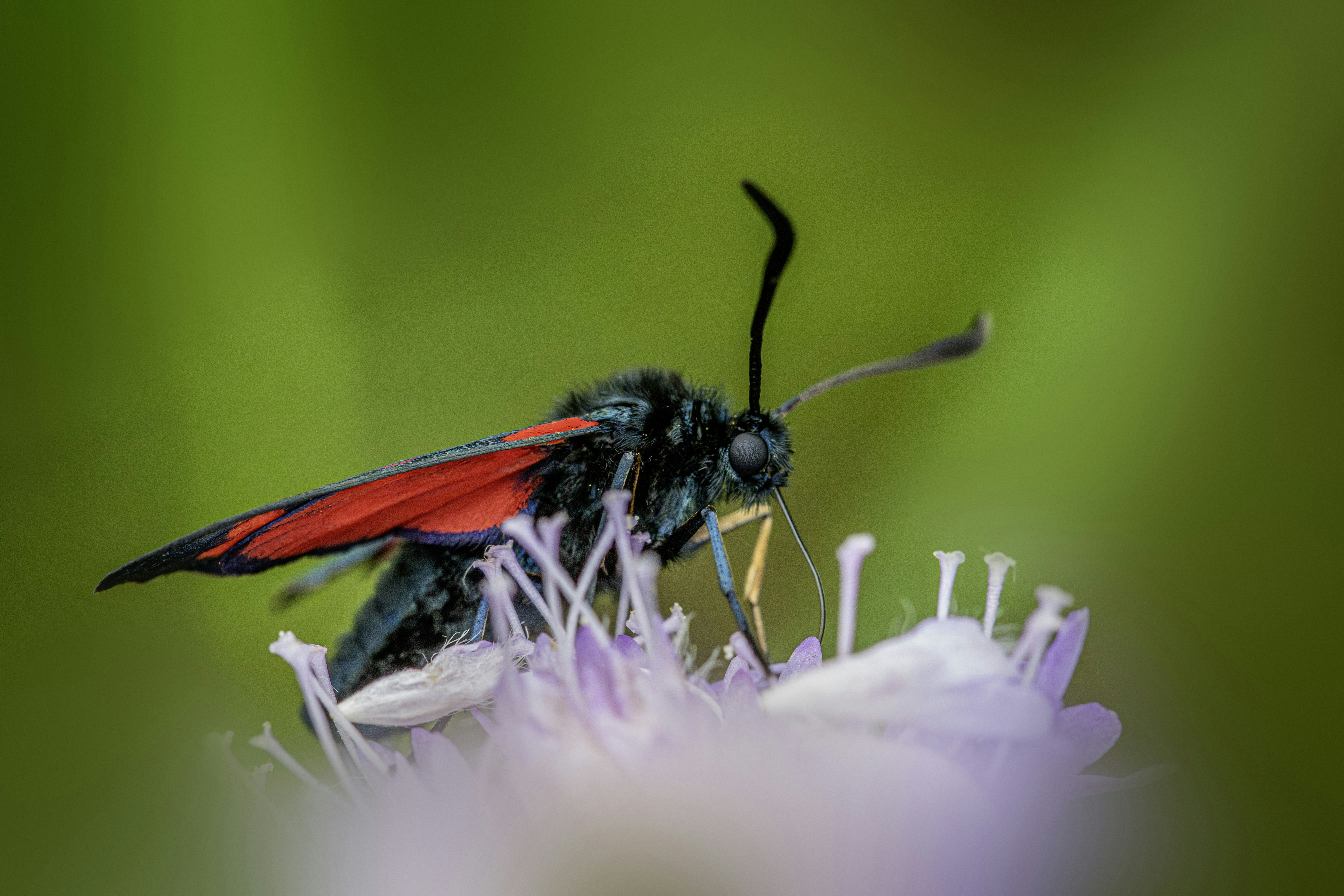 Photo by erik_karits