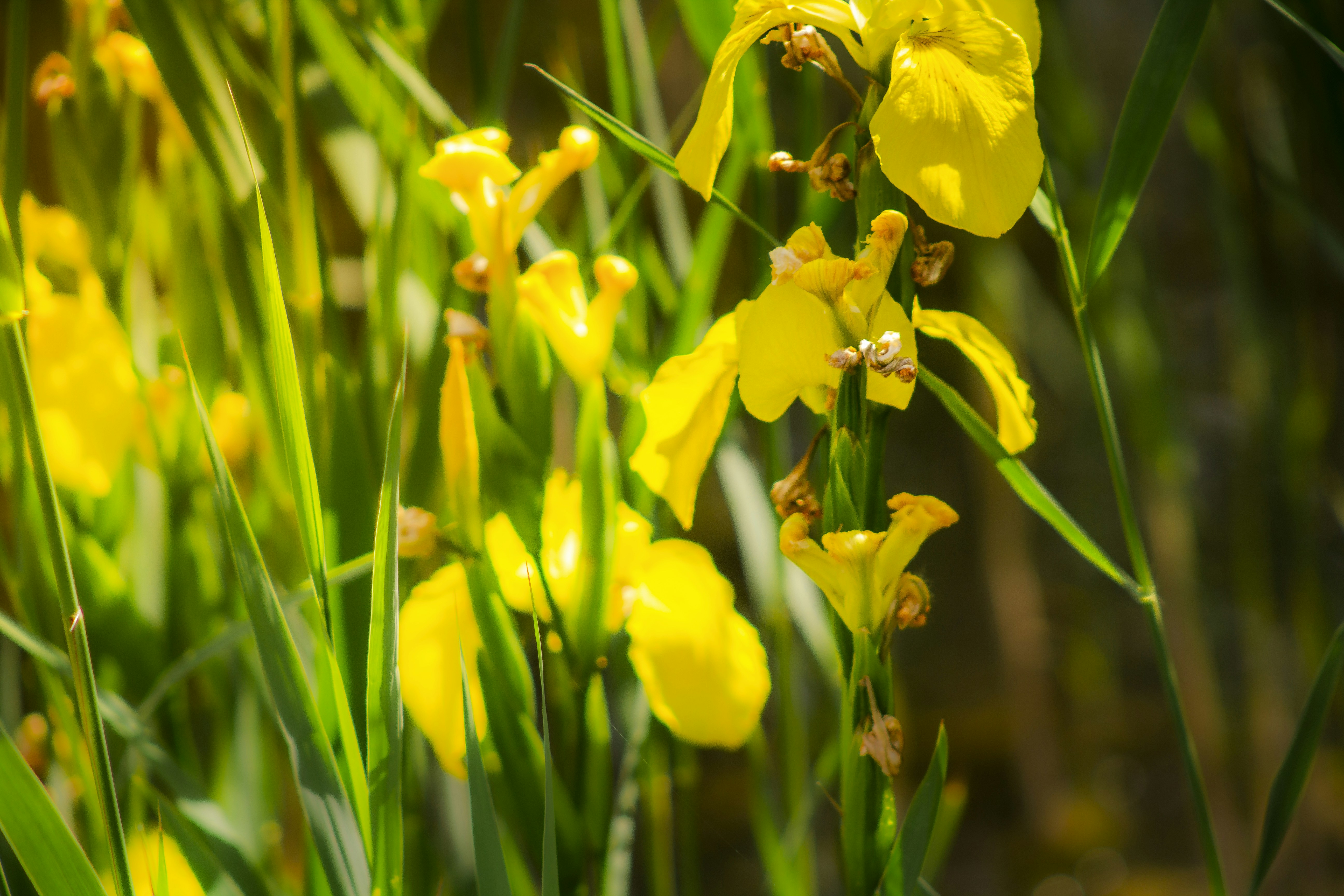 Photo by umairaliasad