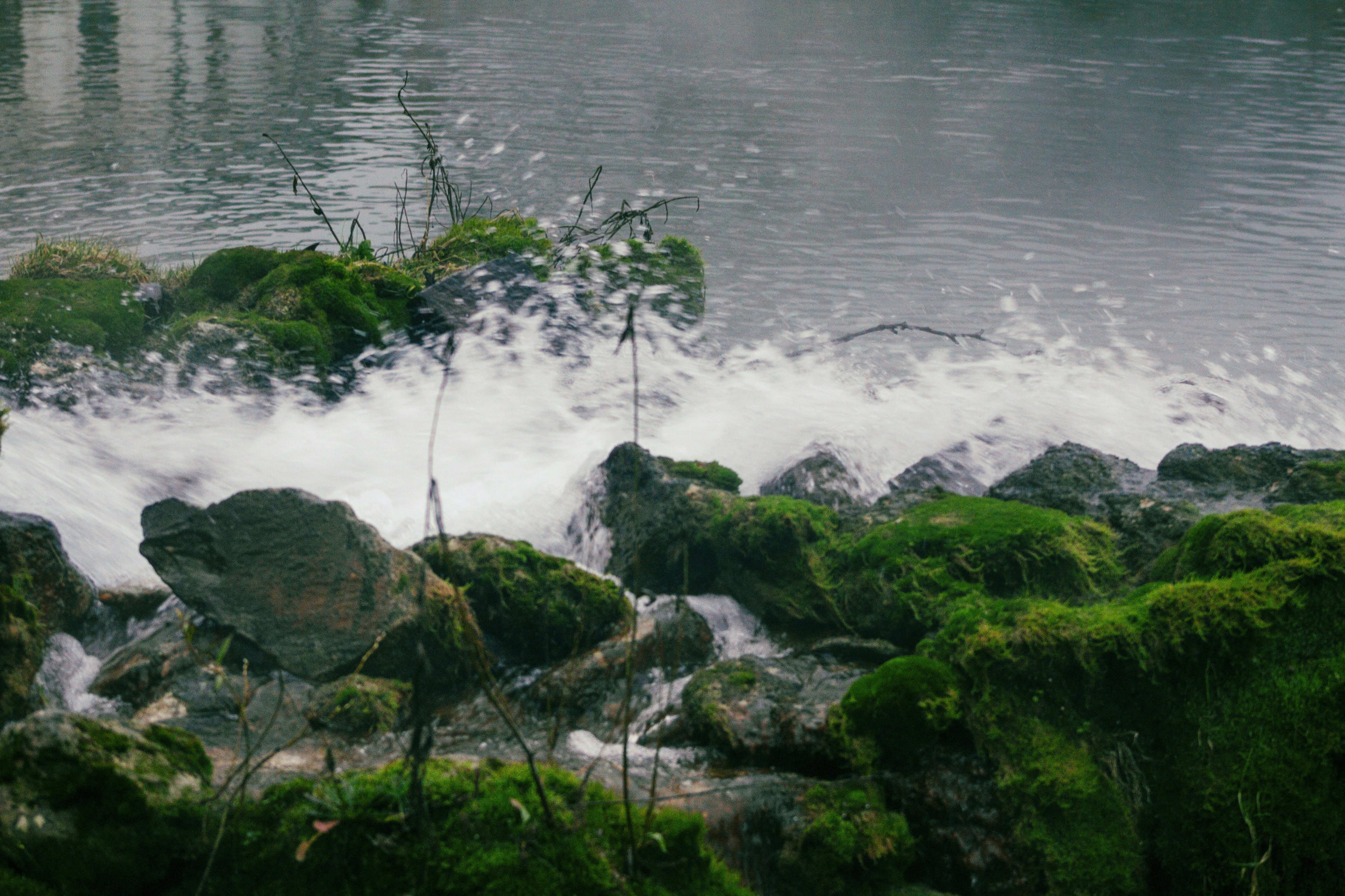 El agua salpica sobre las rocas cubiertas de musgo en un arroyo.