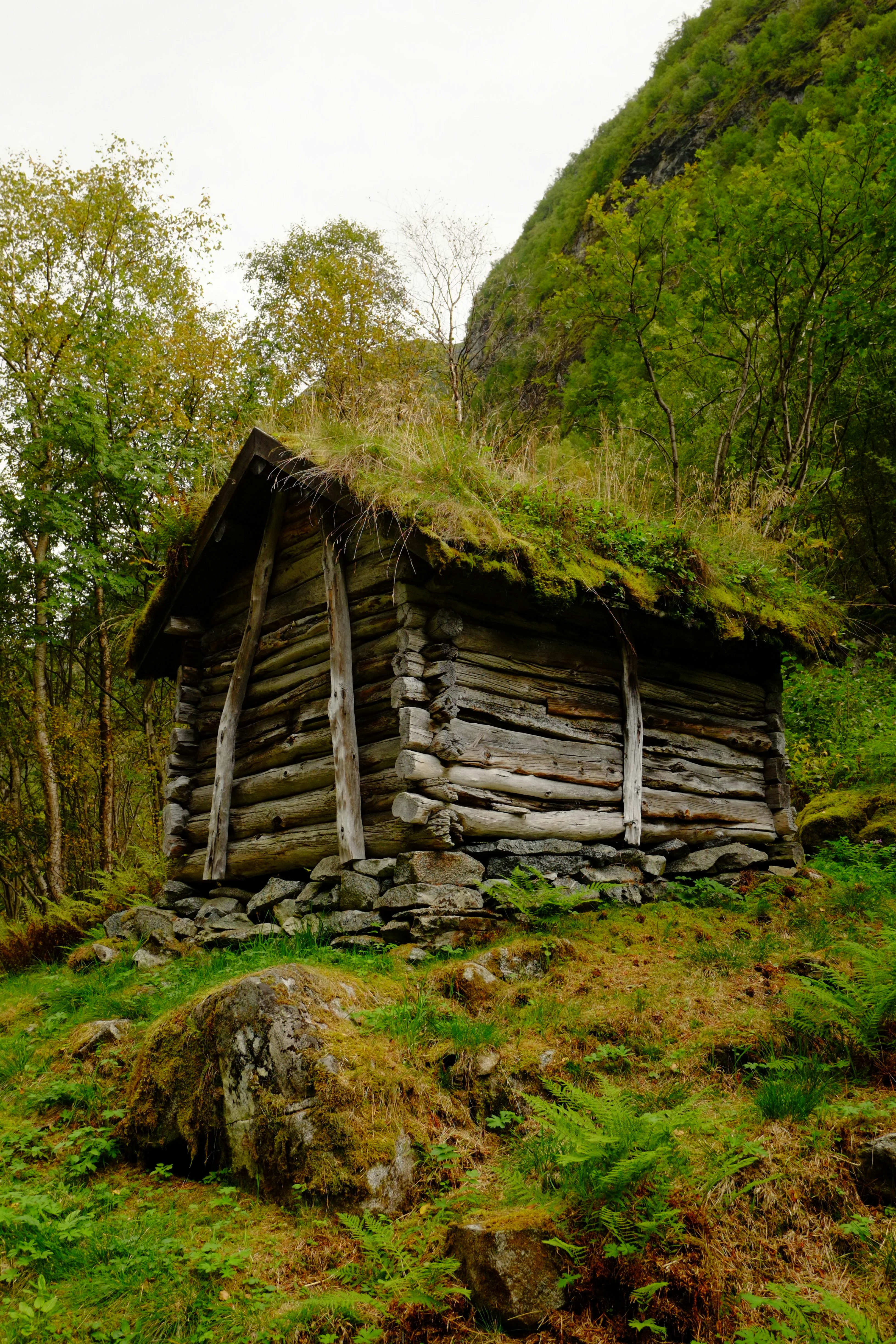 Photo by bernhardbar