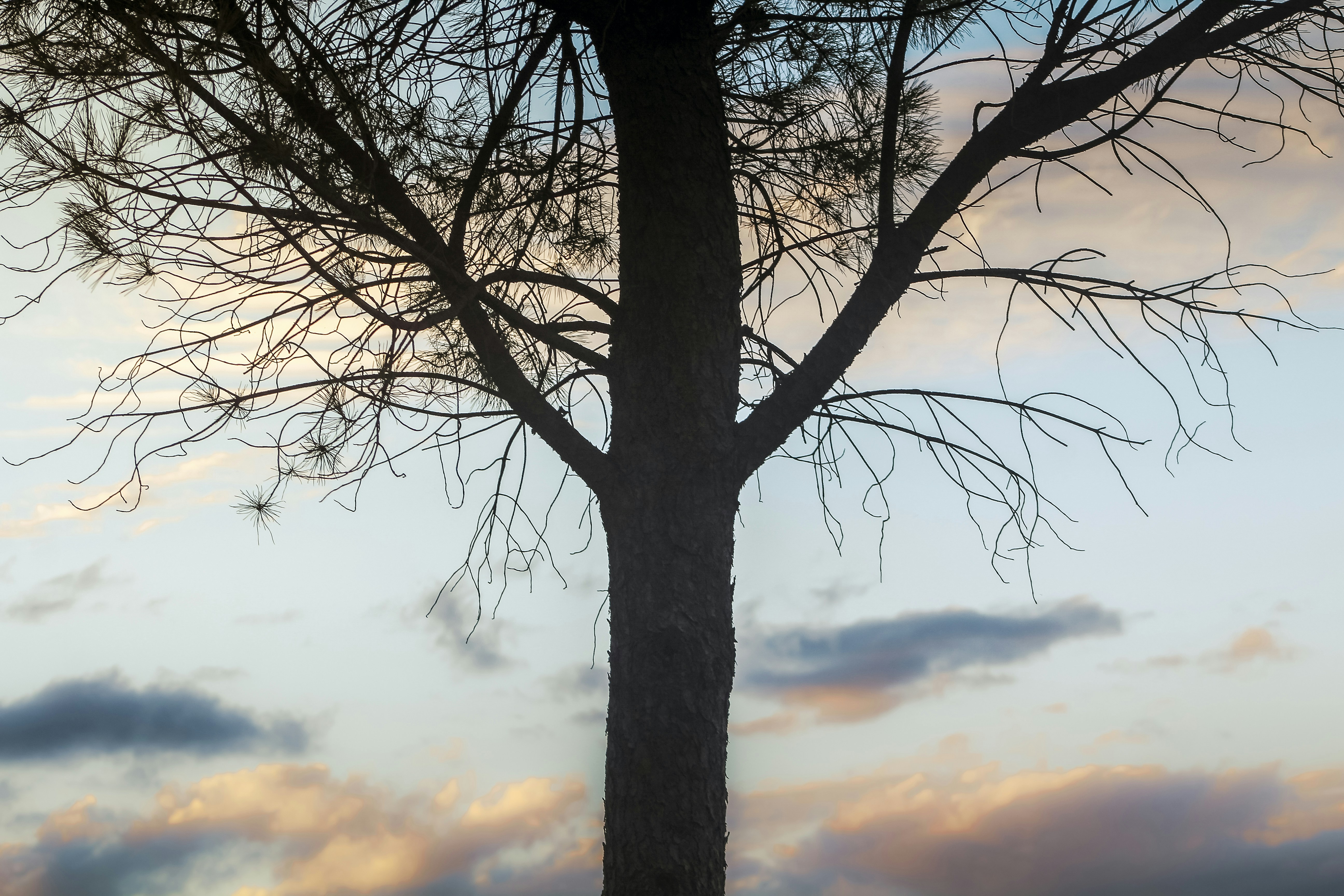 Photo by umairaliasad