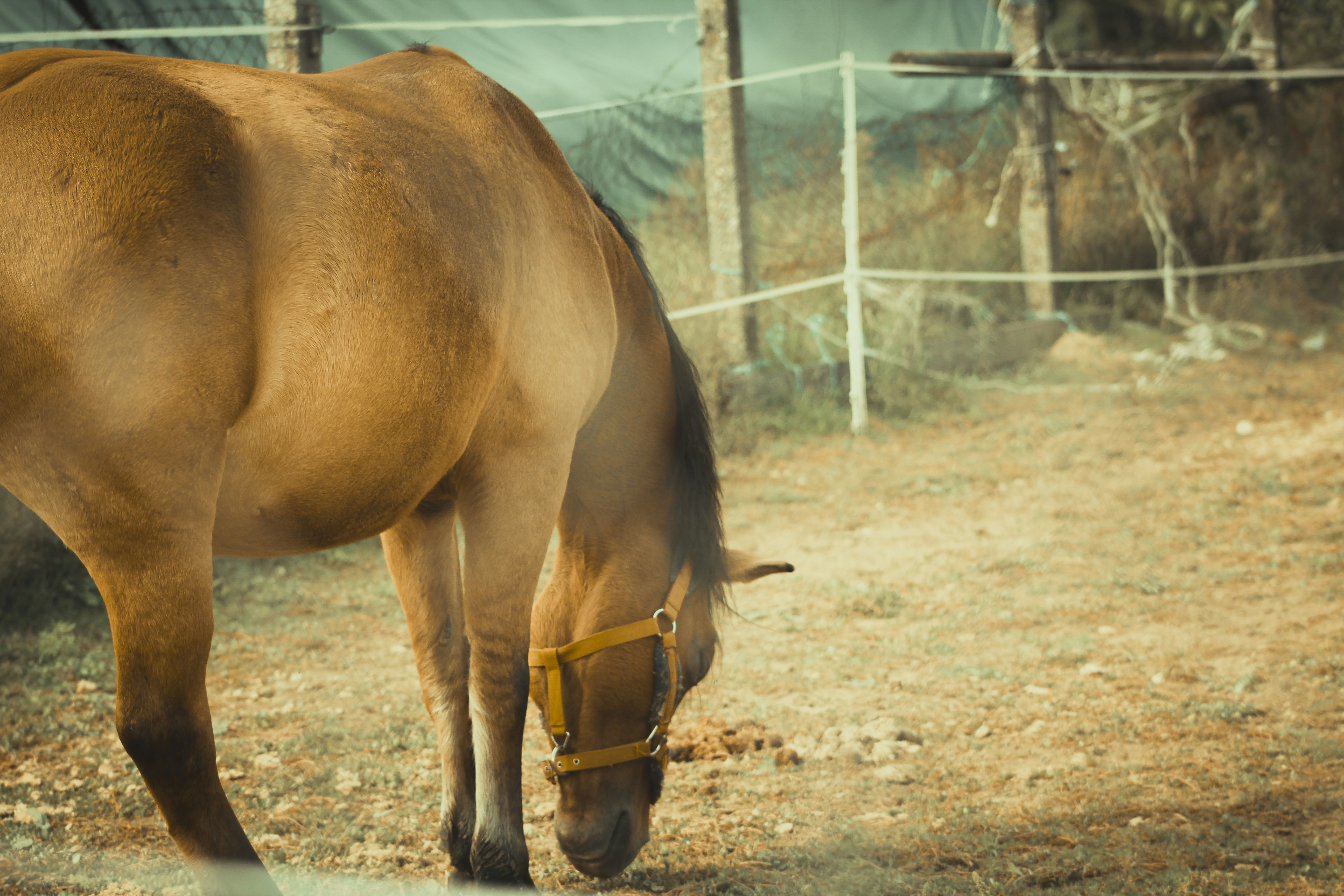 Photo by umairaliasad