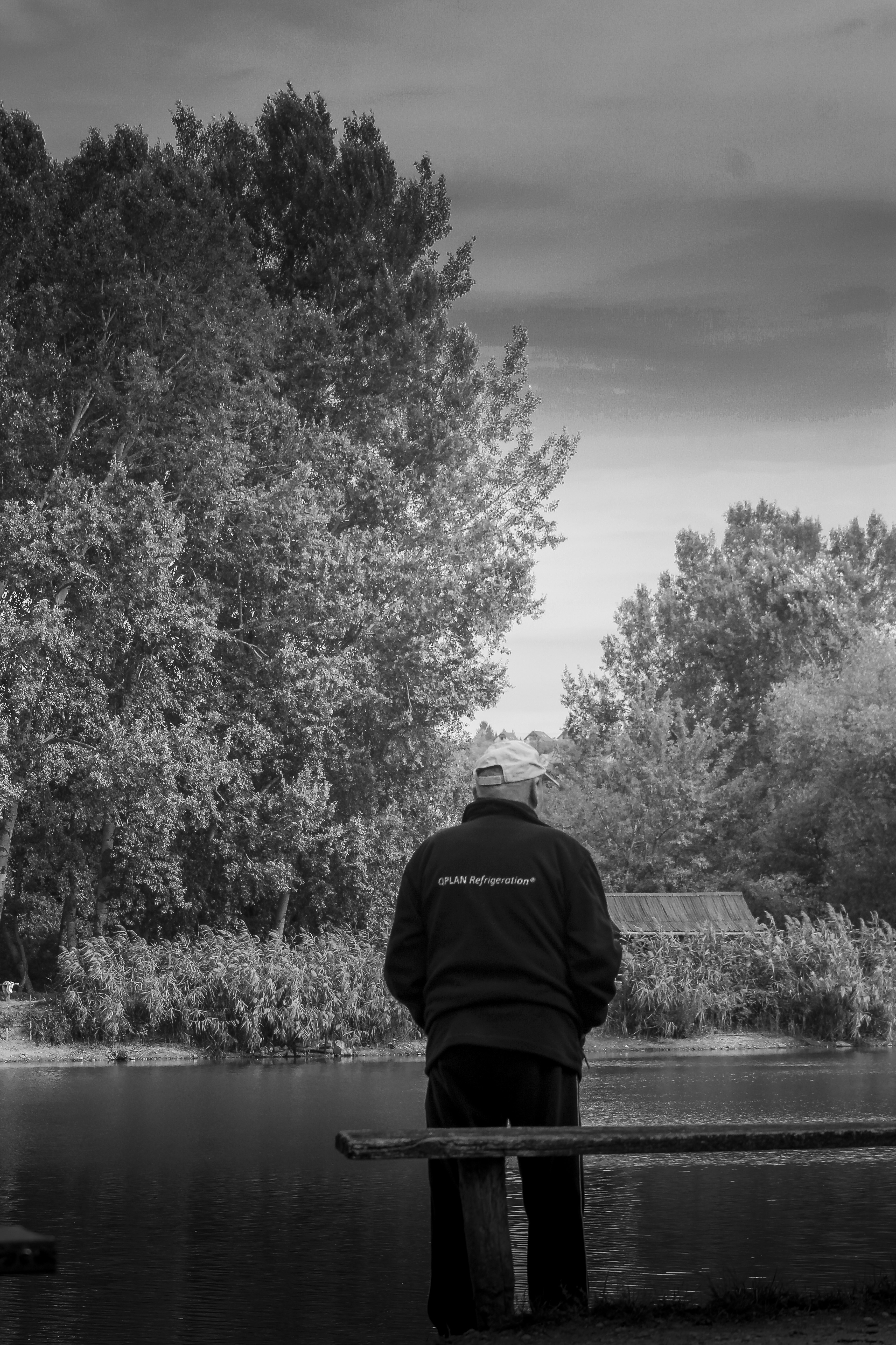 Man sitting on a bench by the water