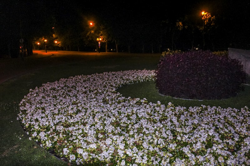 cvetna gredica osvetljena lampama noću